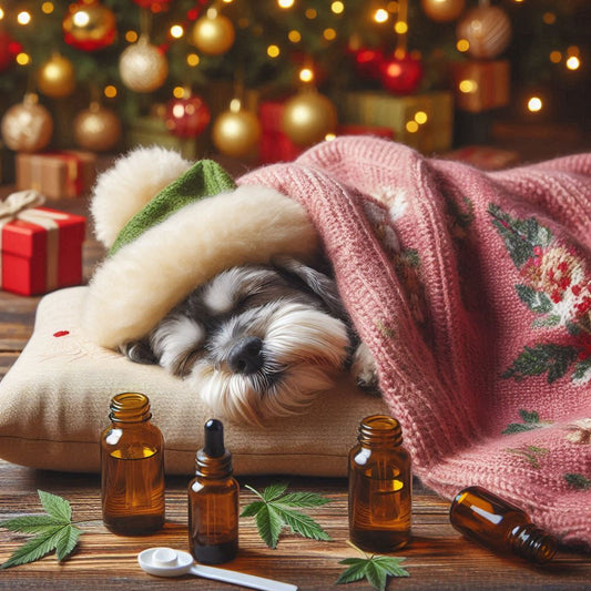 đś Calming Products for Anxious Dogs: What Works?