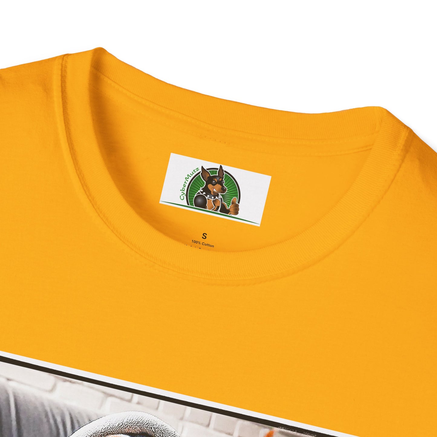 Basset Hound Draped In Blanket