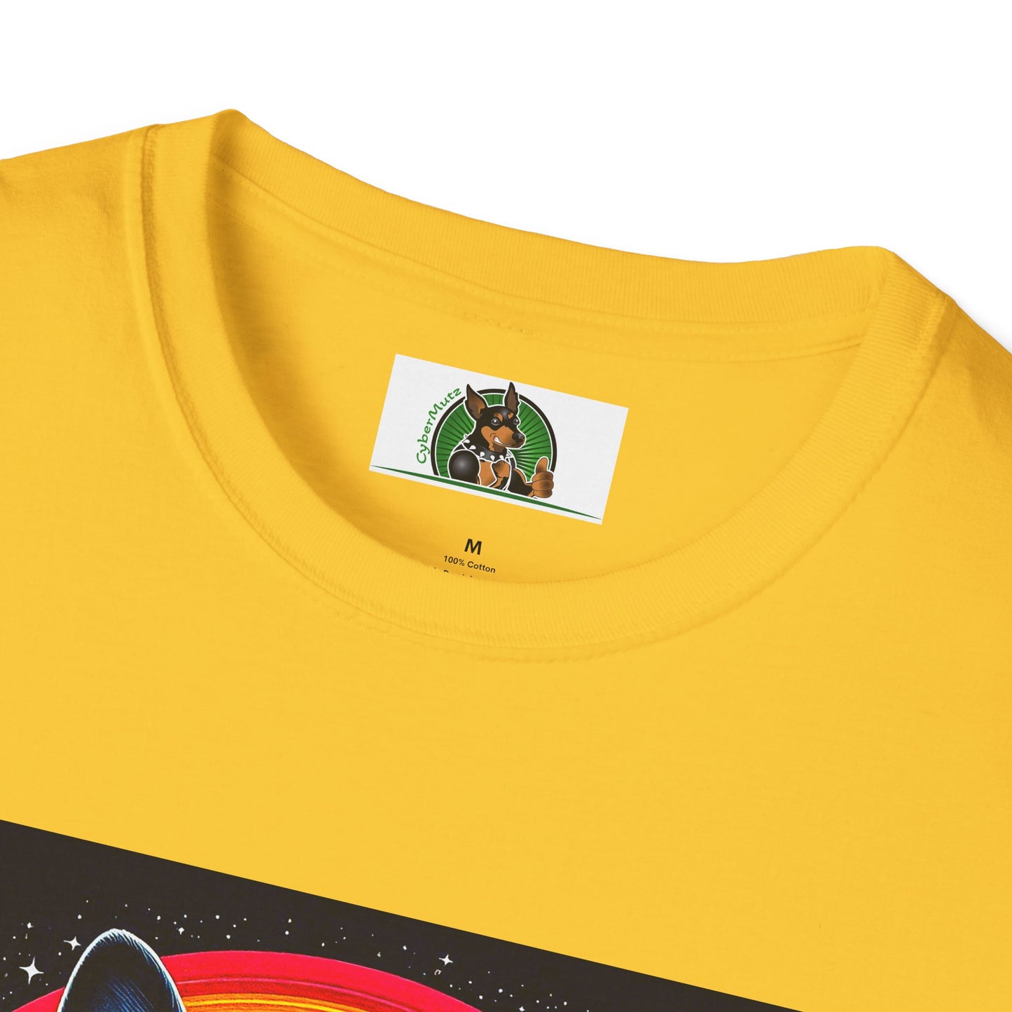 Boston Terrier Dog Overlooking Rainbow Bridge T-Shirt Printify