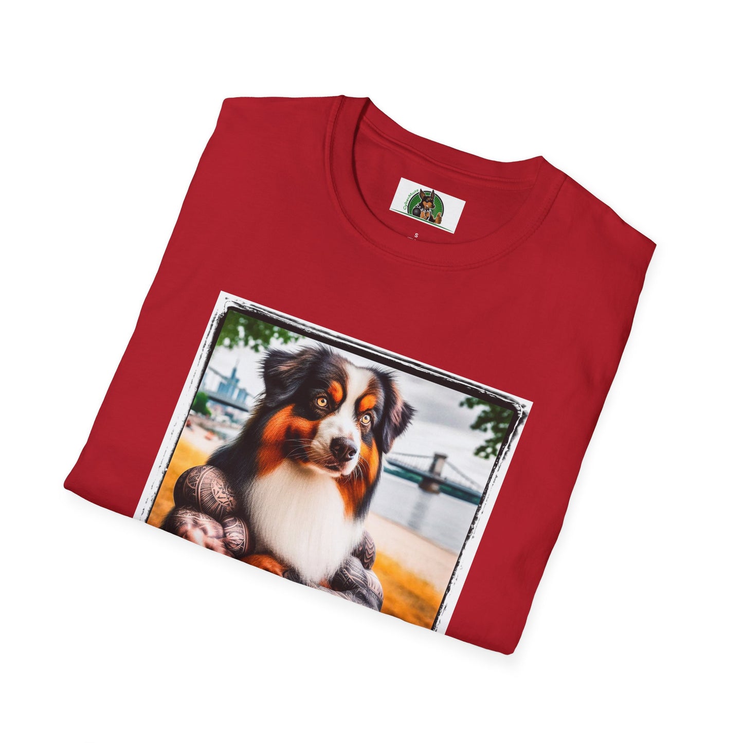 Australian Shepherd Tattooed And Buff