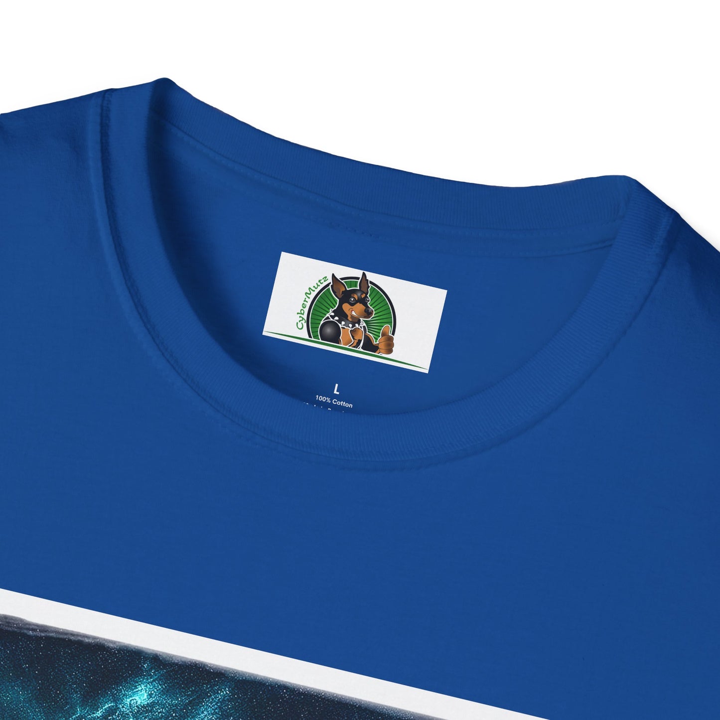 Australian Shepherd Rainbow Bridge At Night T-Shirt Printify