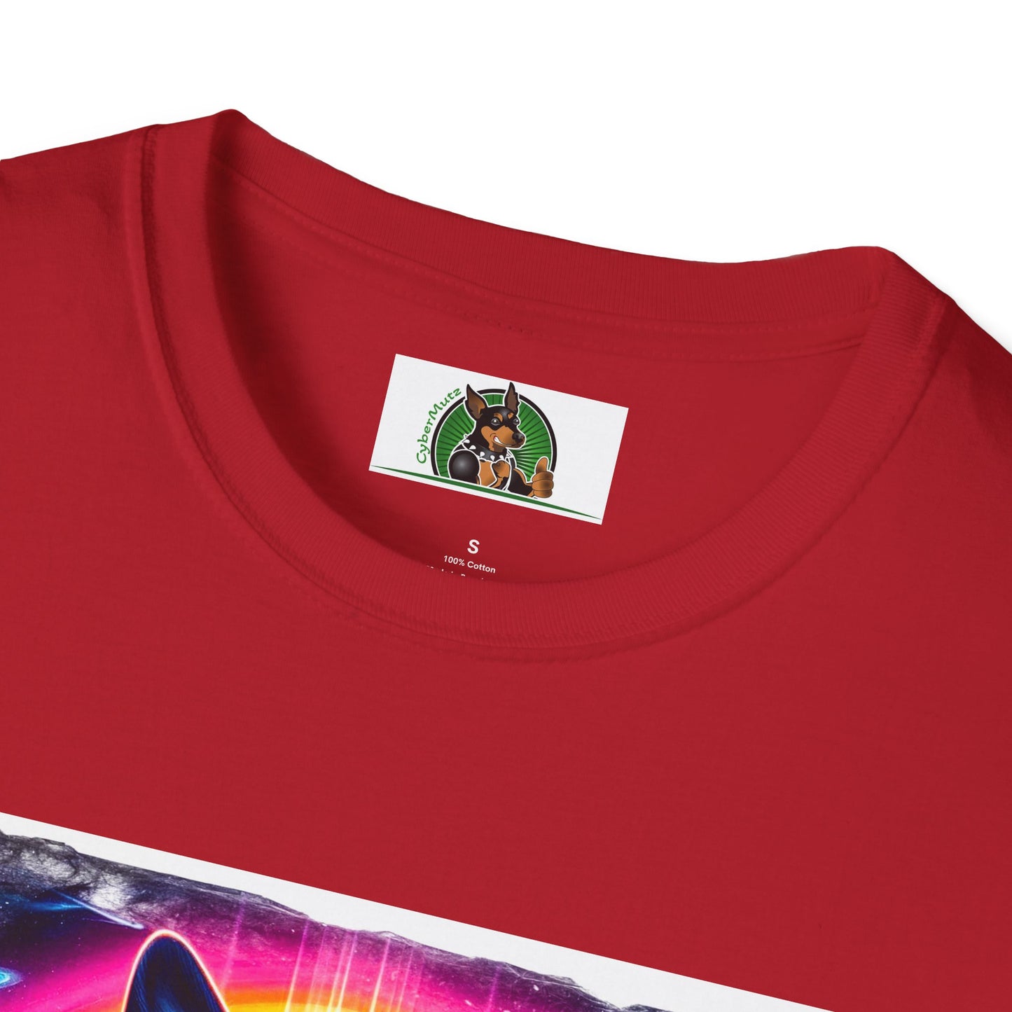 Boston Terriers Rainbow Bridge T-Shirt