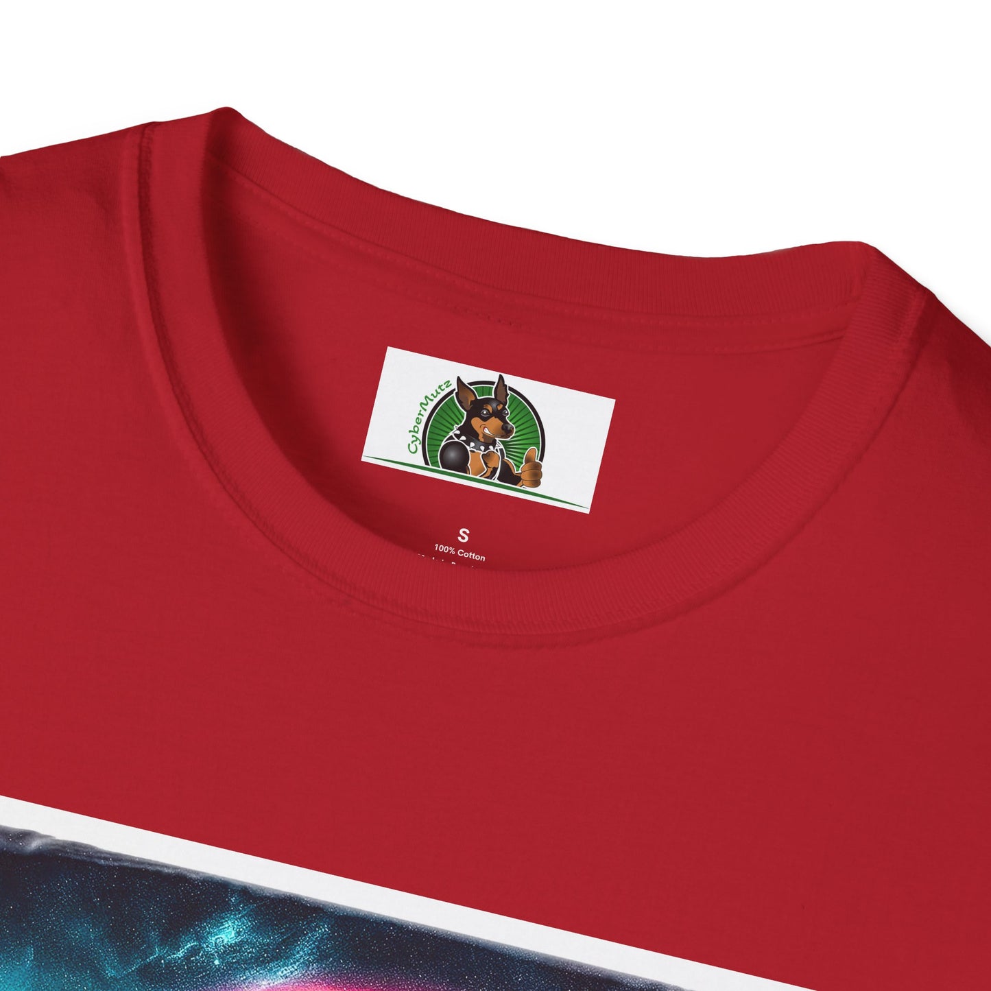 Australian Shepherd Rainbow Bridge At Night