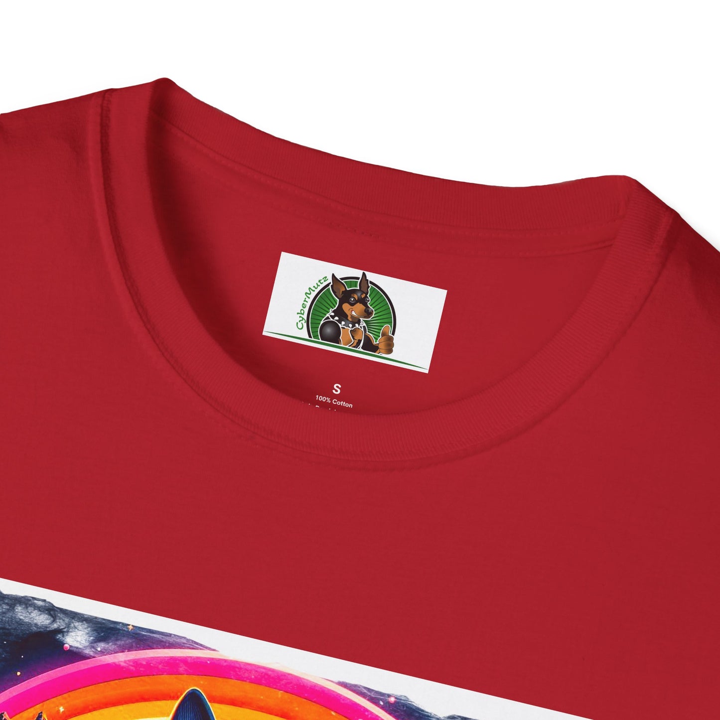 Boston Terrier Rainbow Bridge Dog At Beach T-Shirt Printify