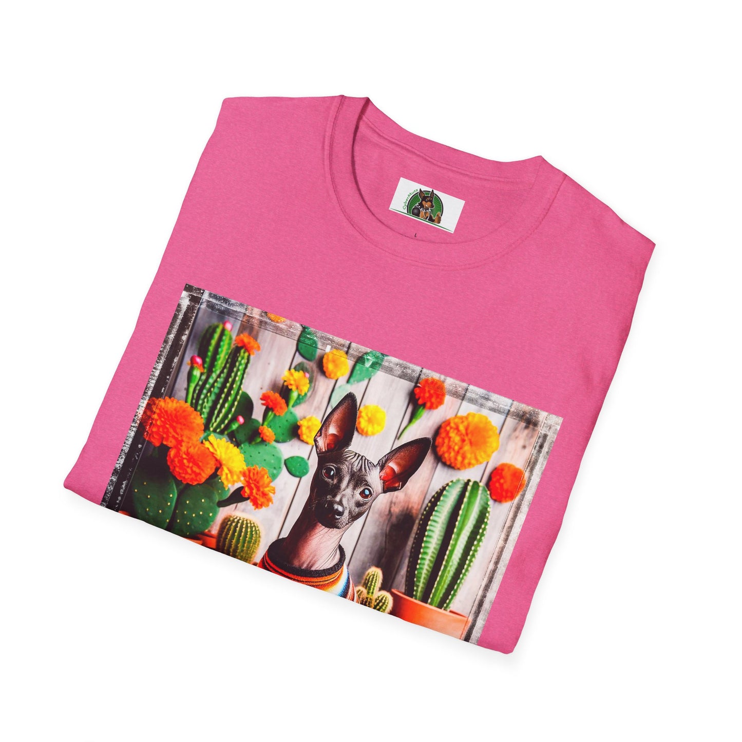 Mexican Hairless Dog dessert