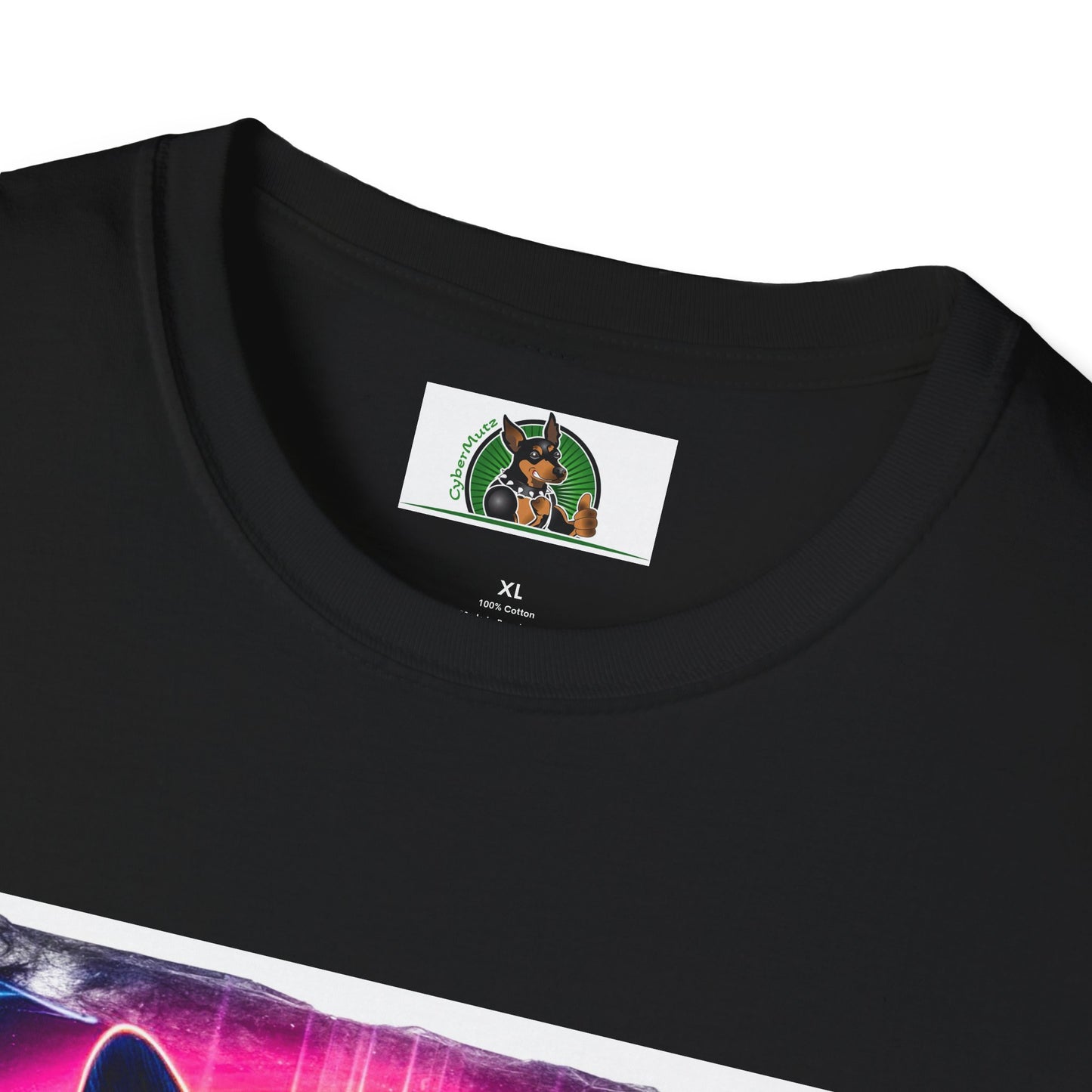 Boston Terriers Rainbow Bridge T-Shirt T-Shirt Printify