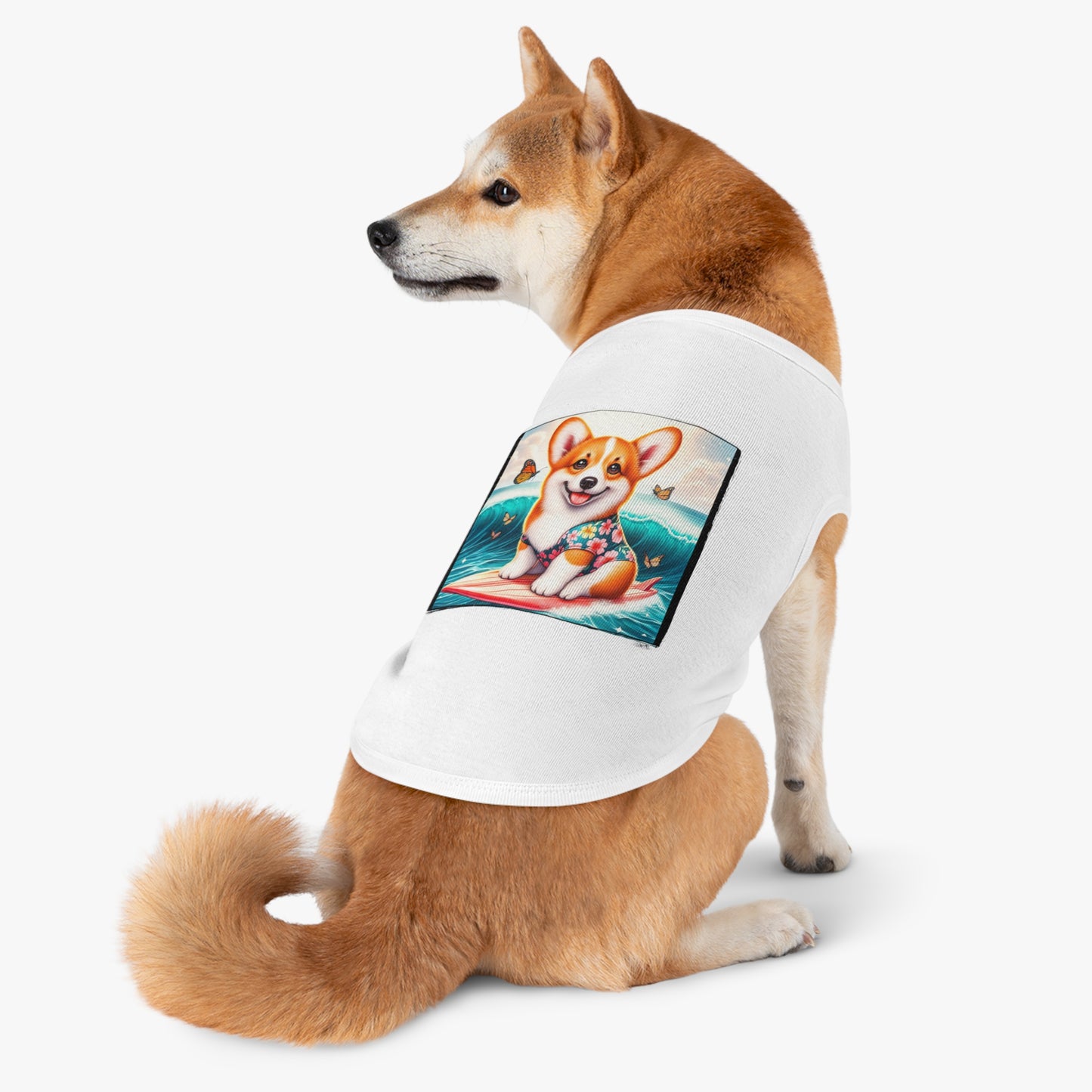 Pembroke Welsh Corgi tiny surfer