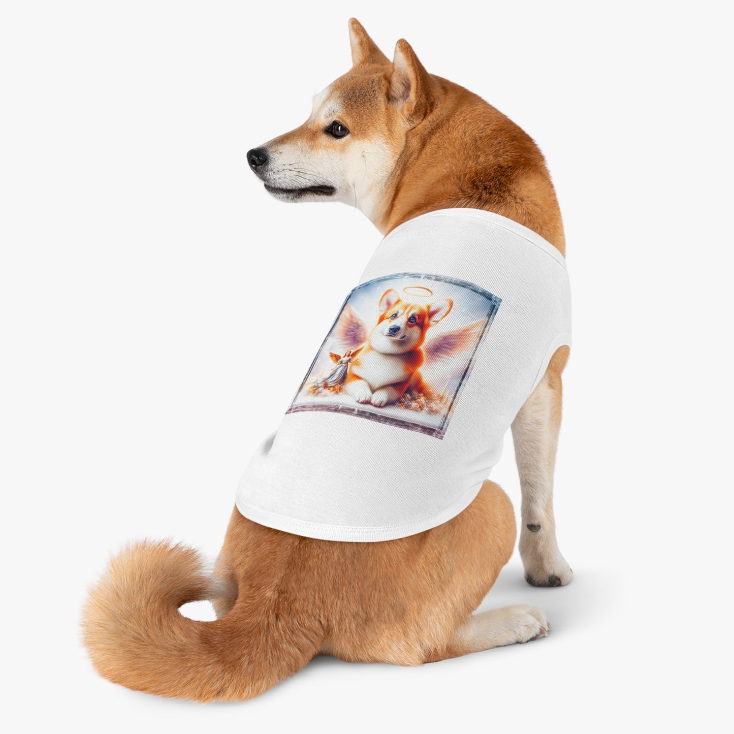 Pembroke Welsh corgi pretty Angel