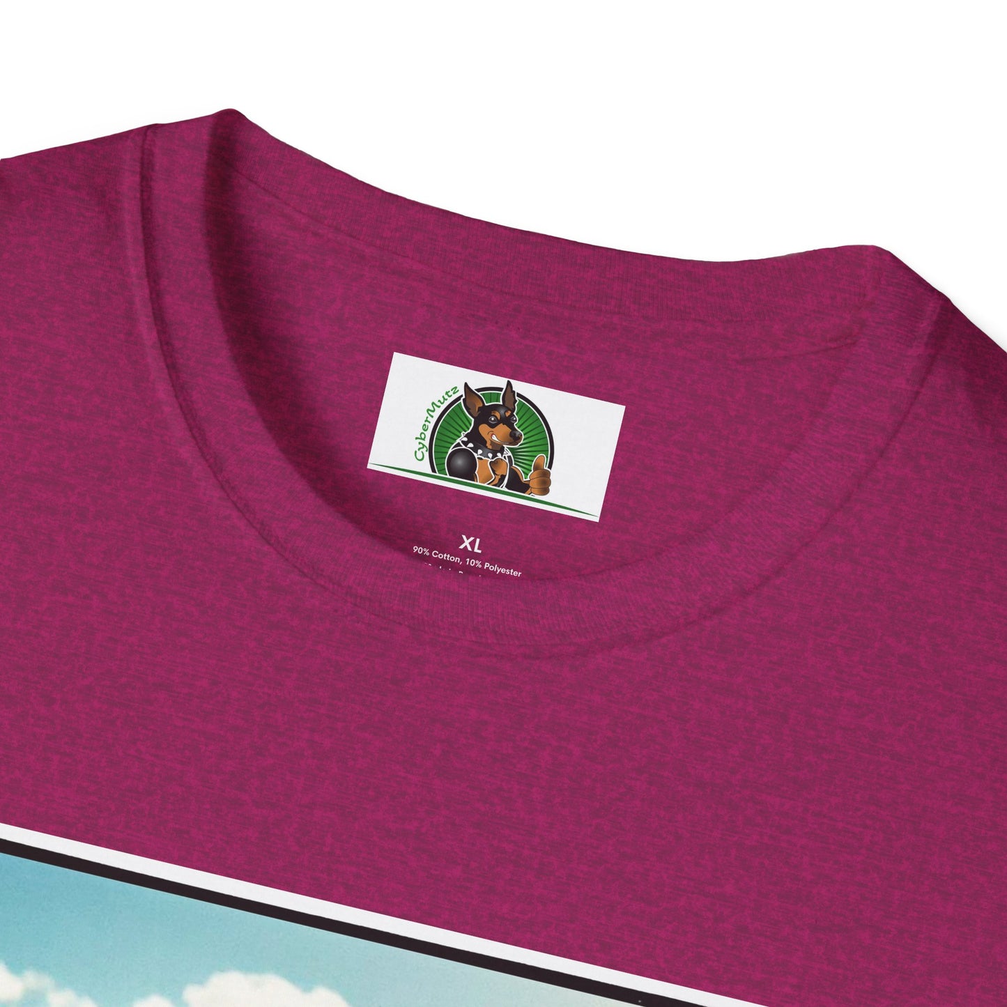 Australian Shepherd Dogs In Car