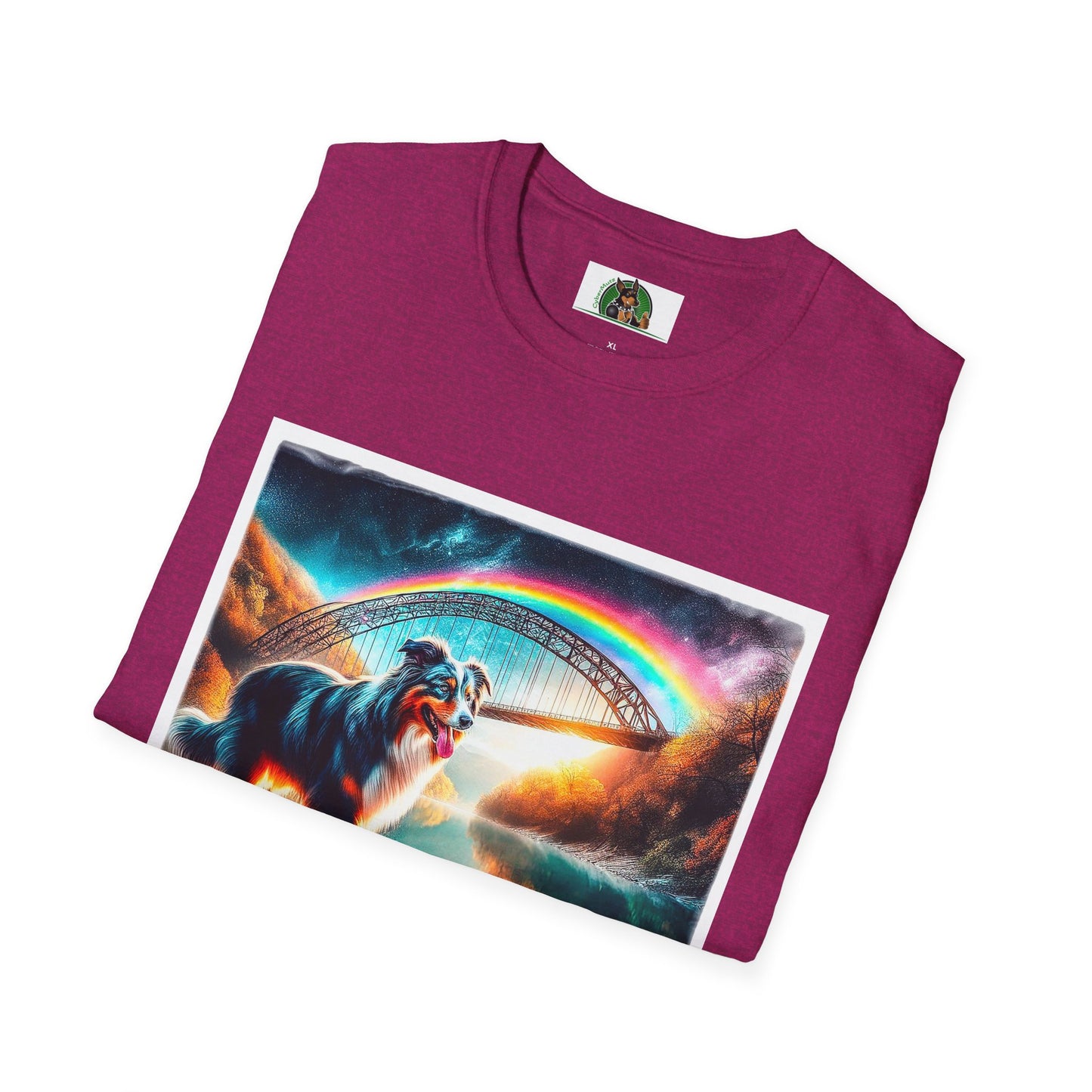 Australian Shepherd Rainbow Bridge At Night