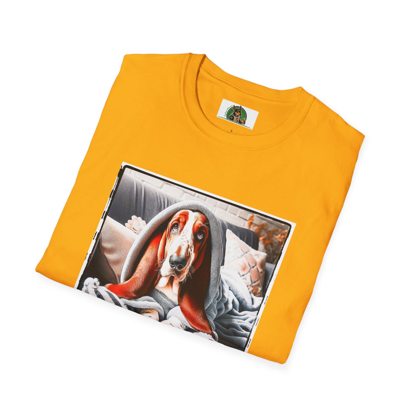 Basset Hound Draped In Blanket