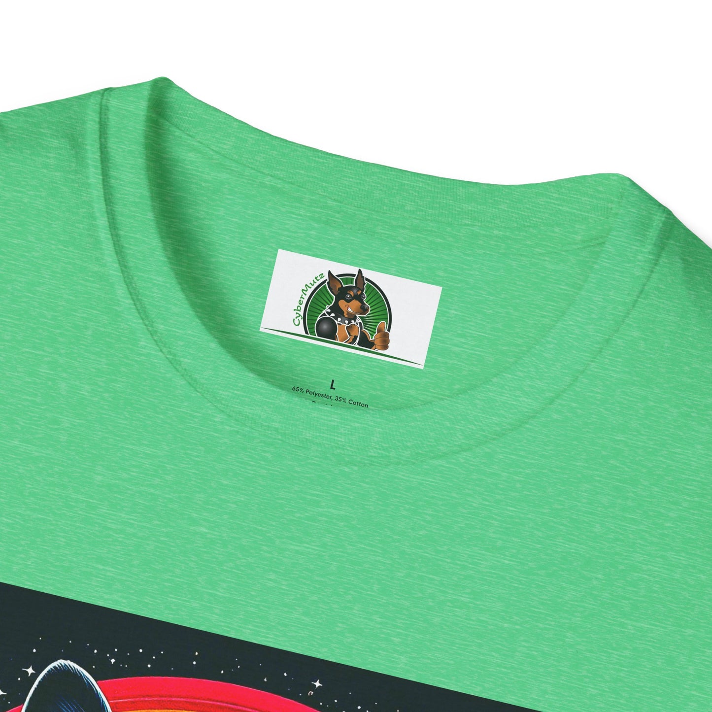 Boston Terrier Dog Overlooking Rainbow Bridge T-Shirt Printify