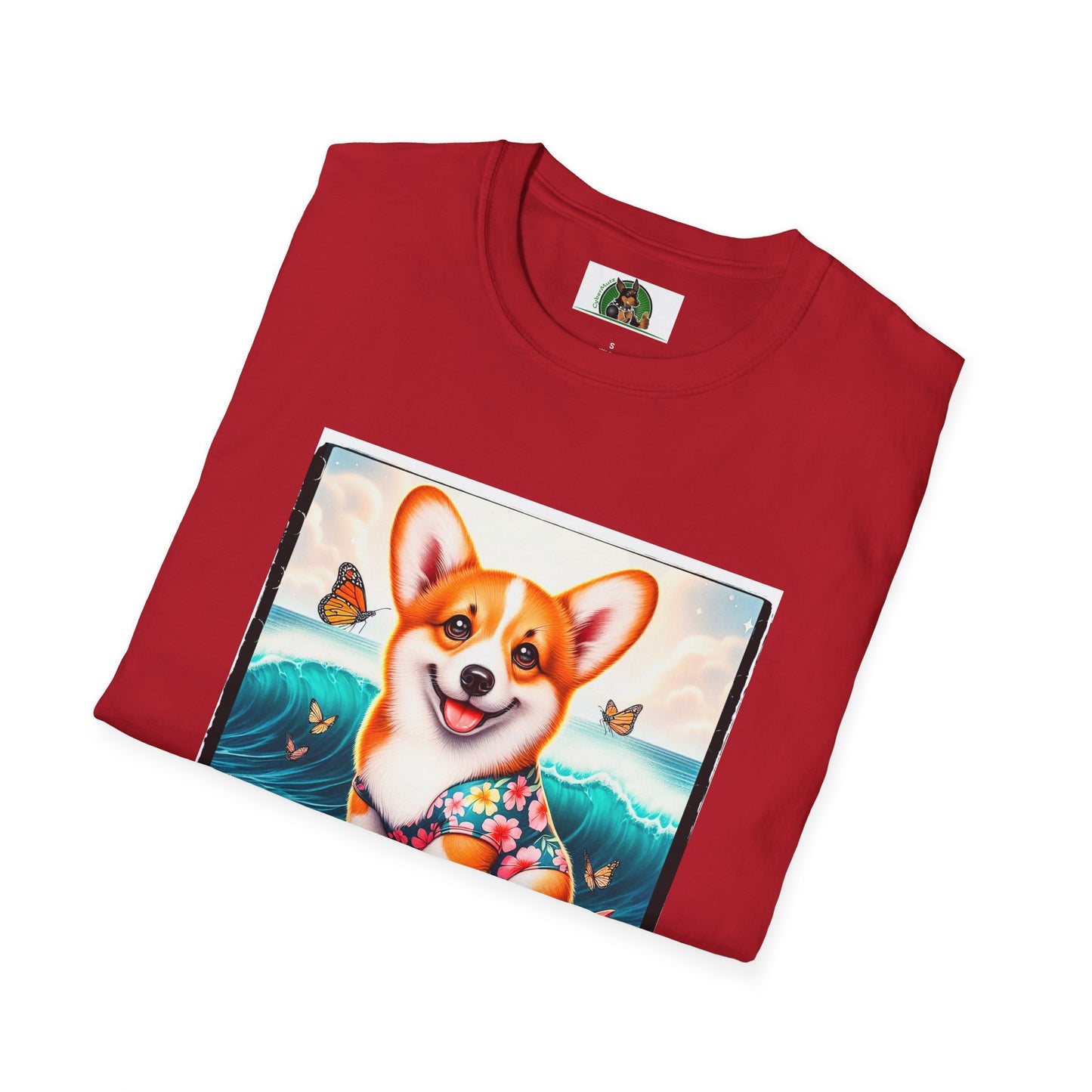 Pembroke Welsh Corgi tiny surfer