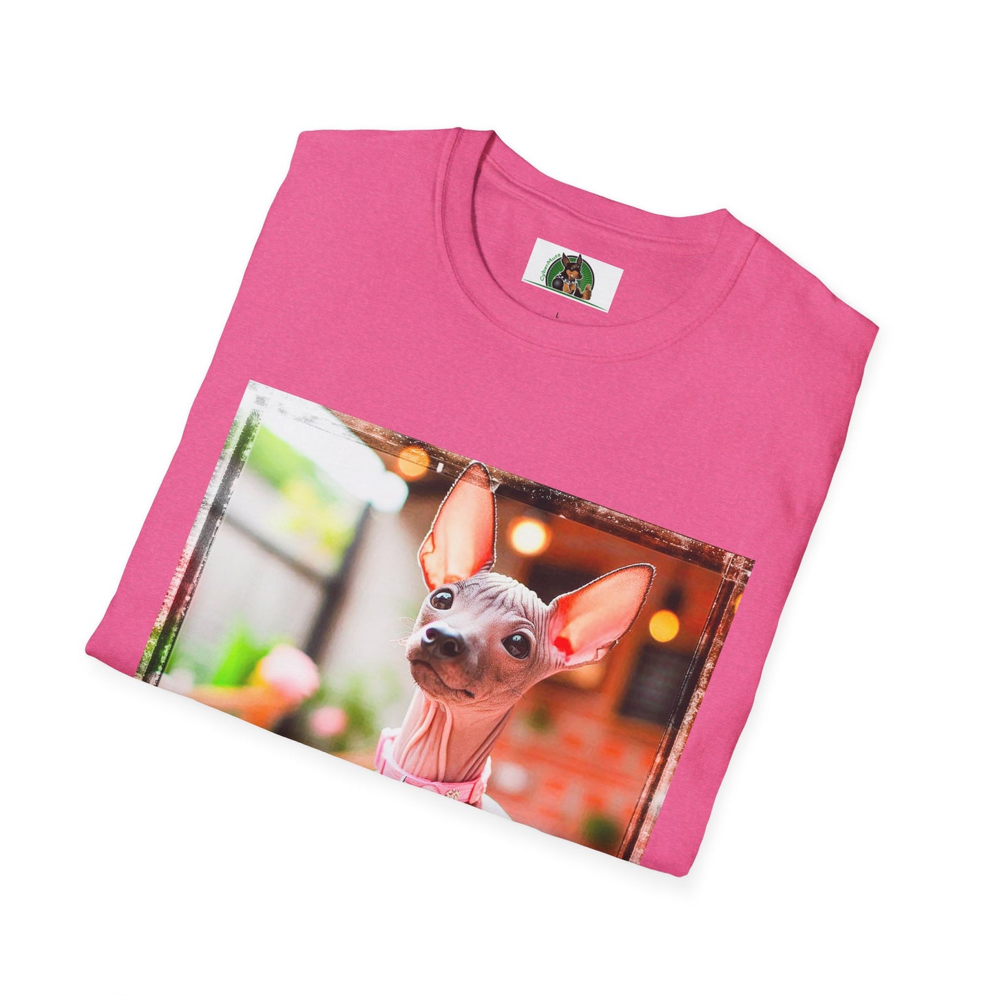 Mexican Hairless Dog pretty princess