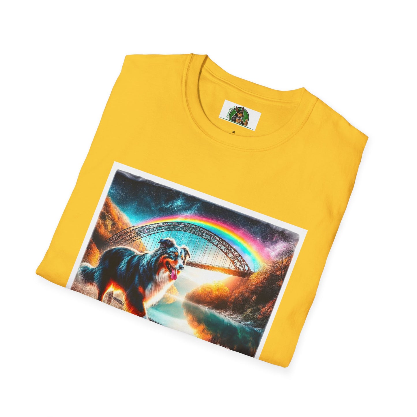 Australian Shepherd Rainbow Bridge At Night