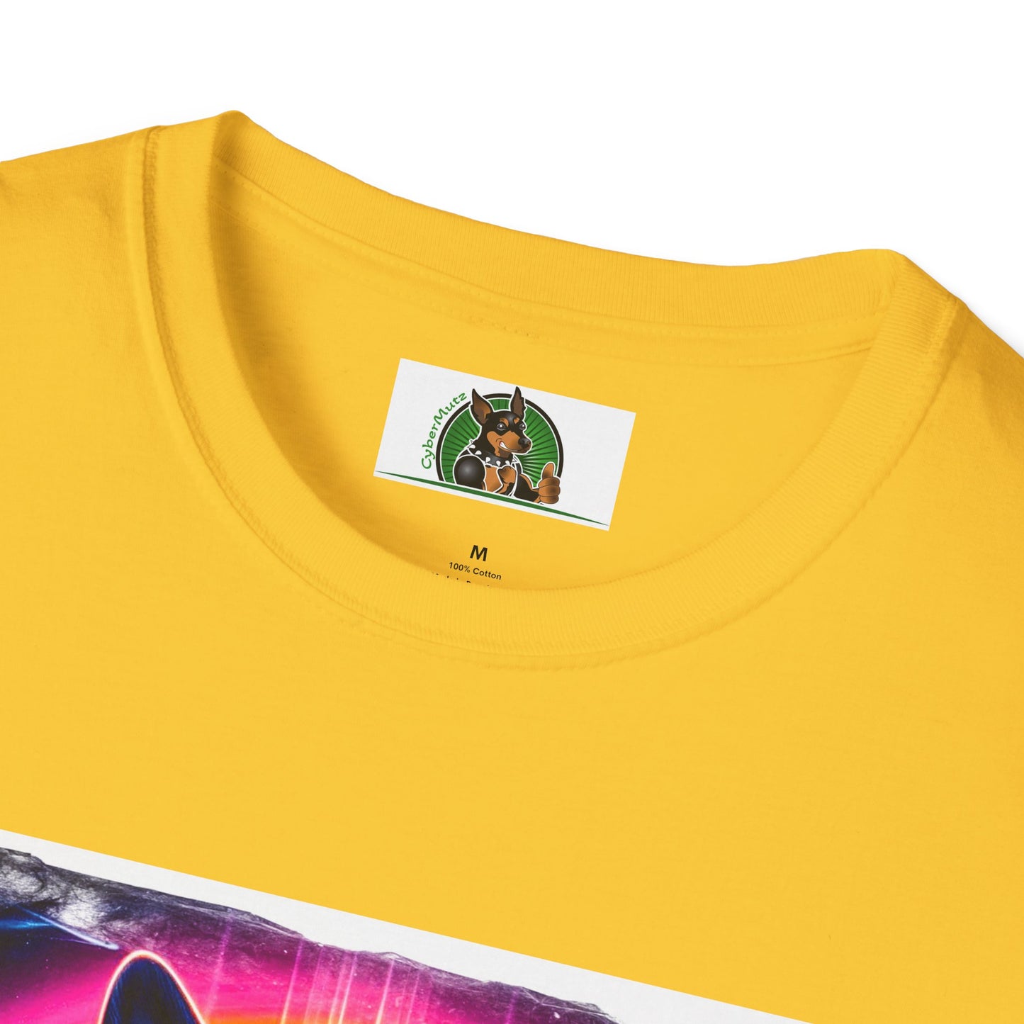 Boston Terriers Rainbow Bridge T-Shirt