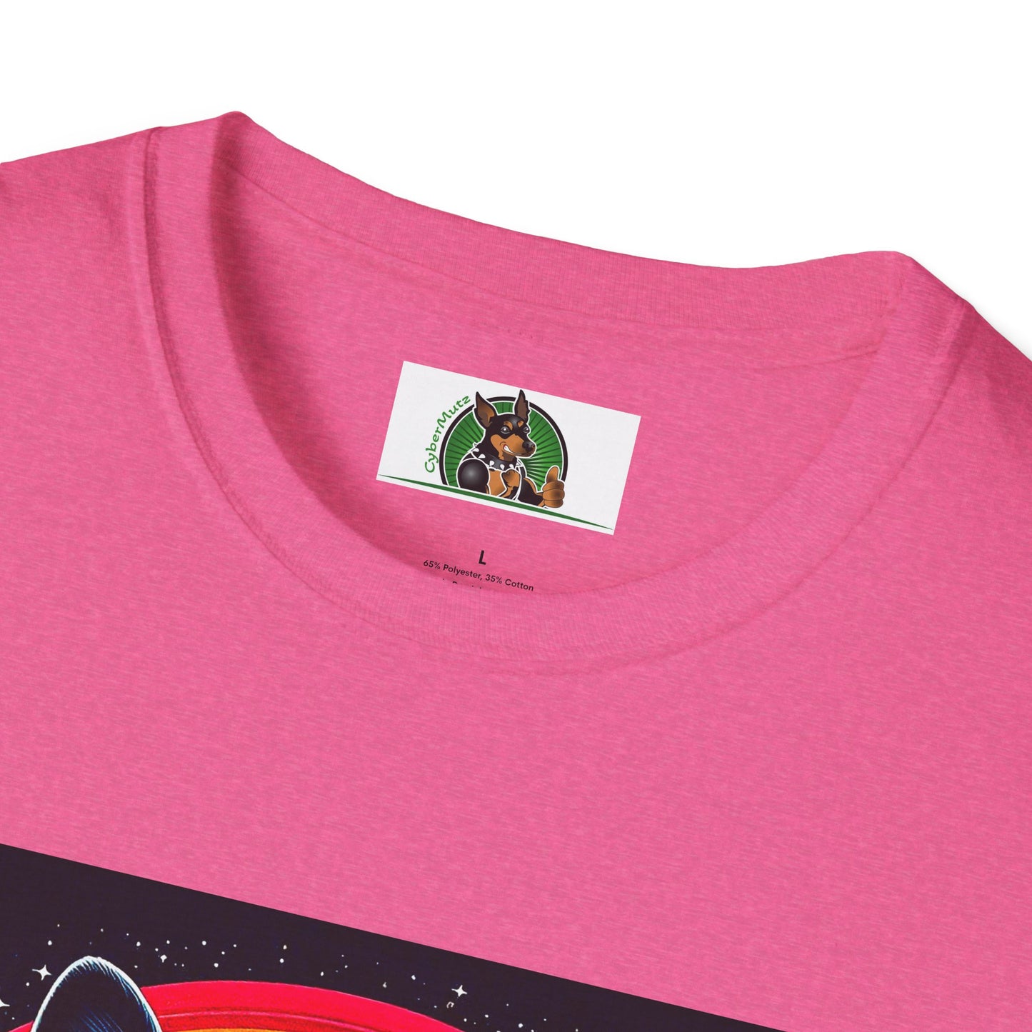 Boston Terrier Dog Overlooking Rainbow Bridge T-Shirt Printify