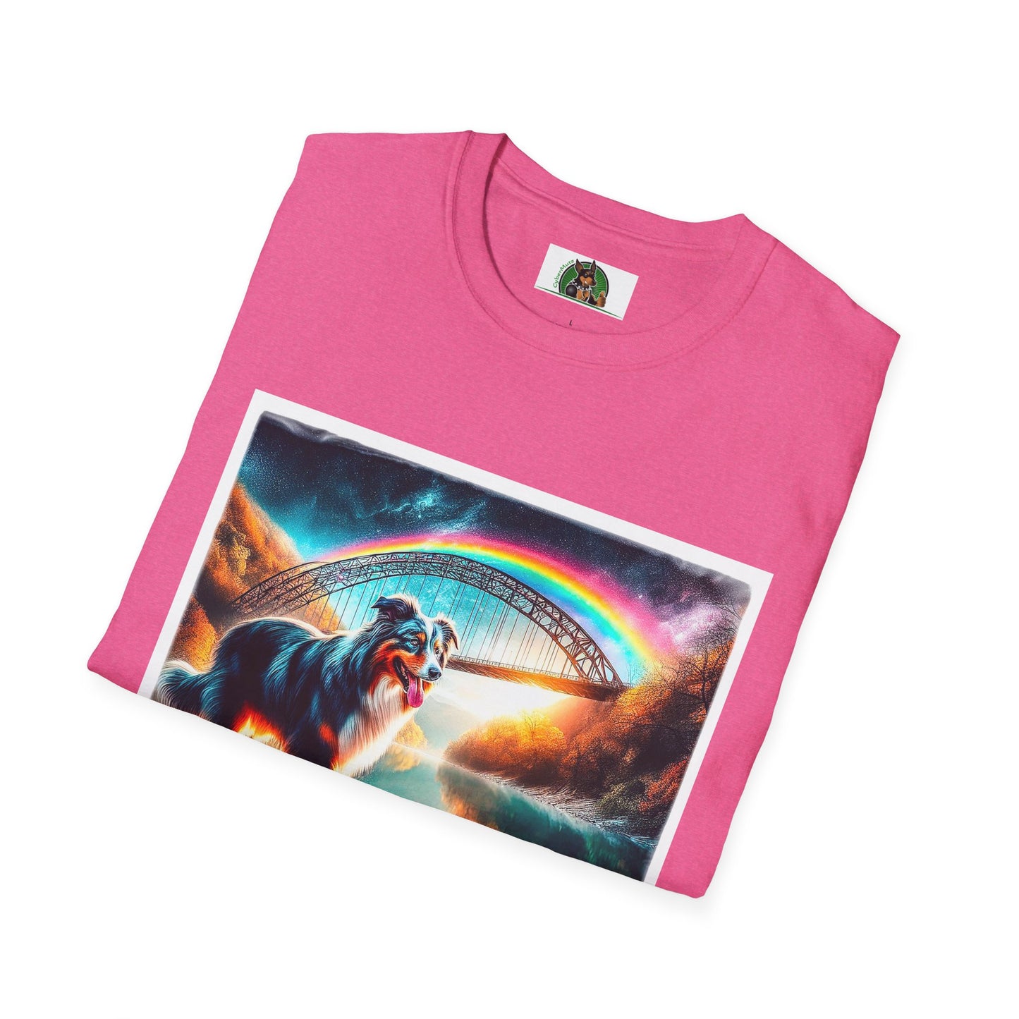 Australian Shepherd Rainbow Bridge At Night