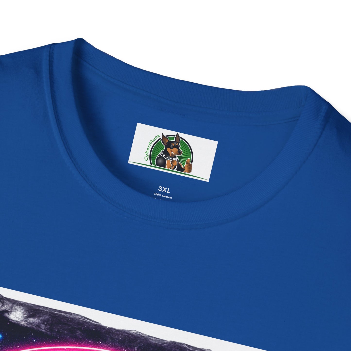 Boston Terrier Rainbow Bridge Shirt T-Shirt Printify