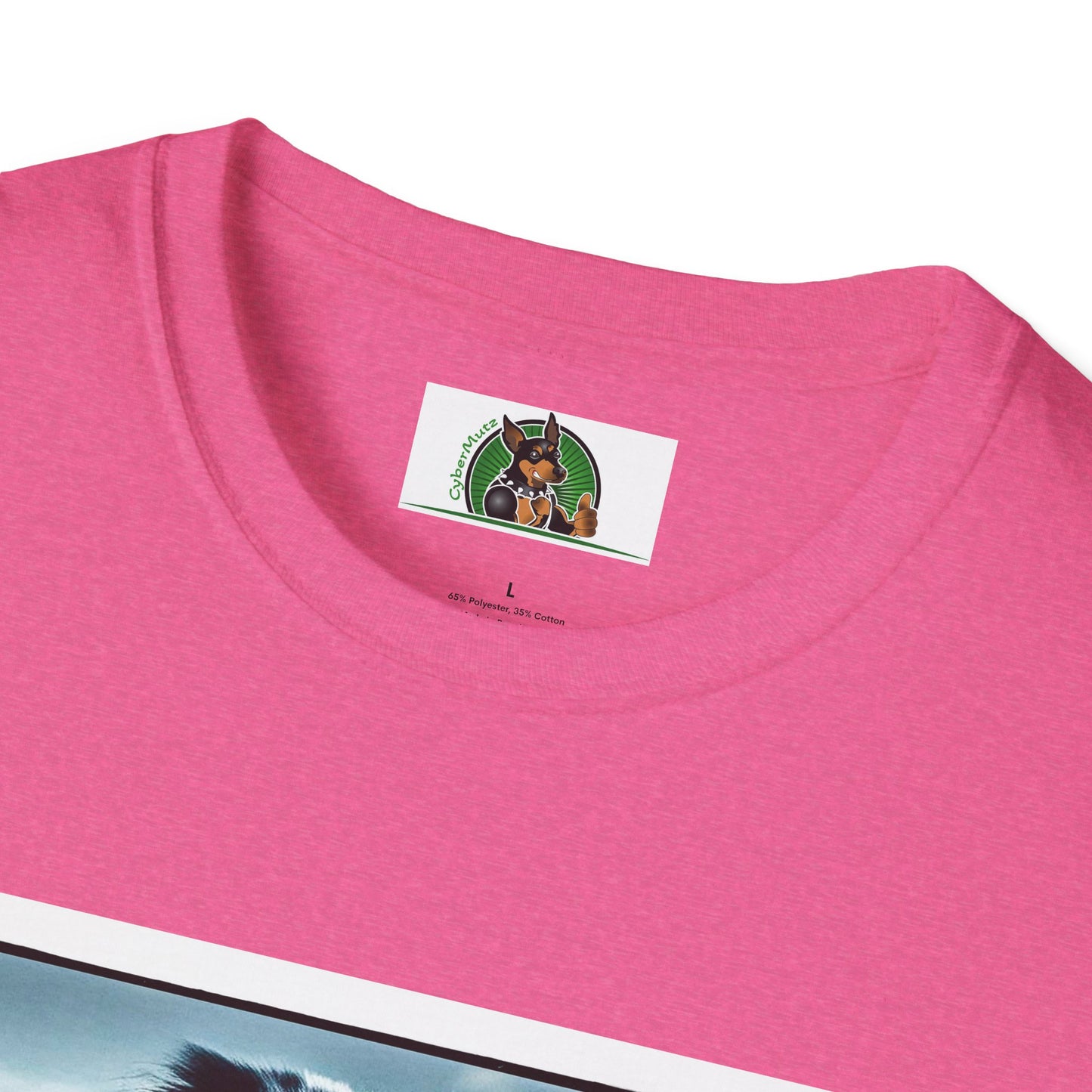 Australian Shepherd Muscle Dog