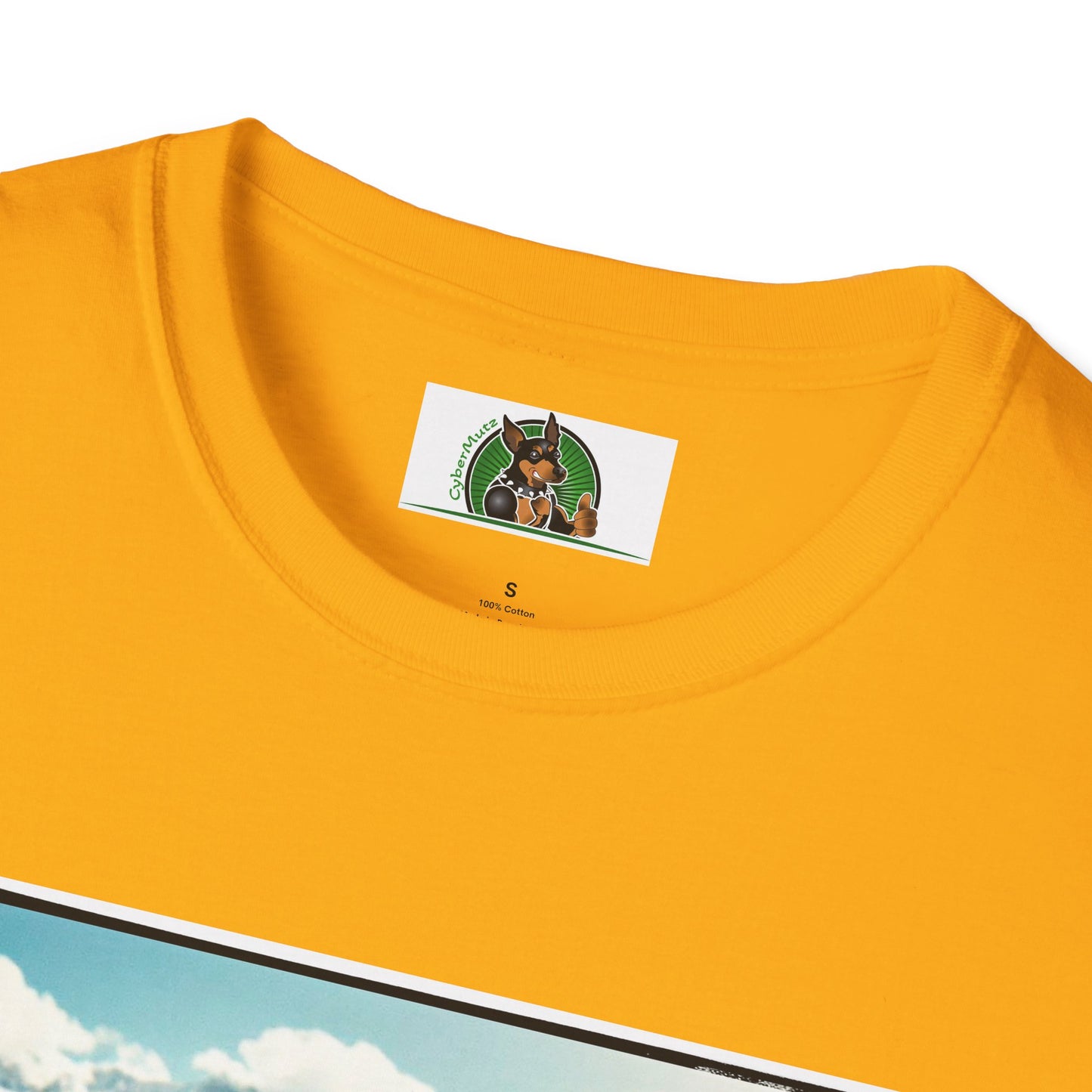 Australian Shepherd Dogs In Car