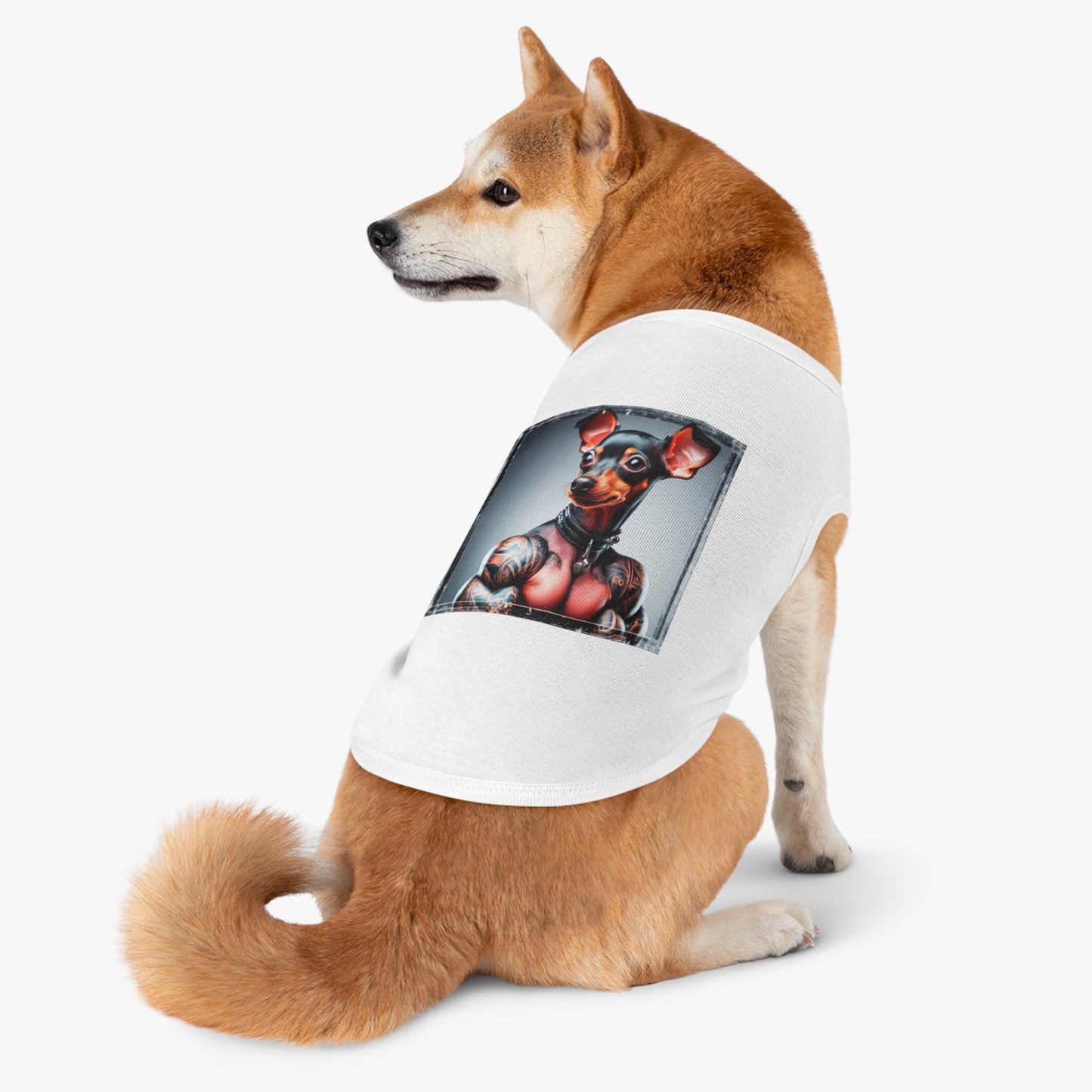 Min Pin Tank Tops tiny muscle msn