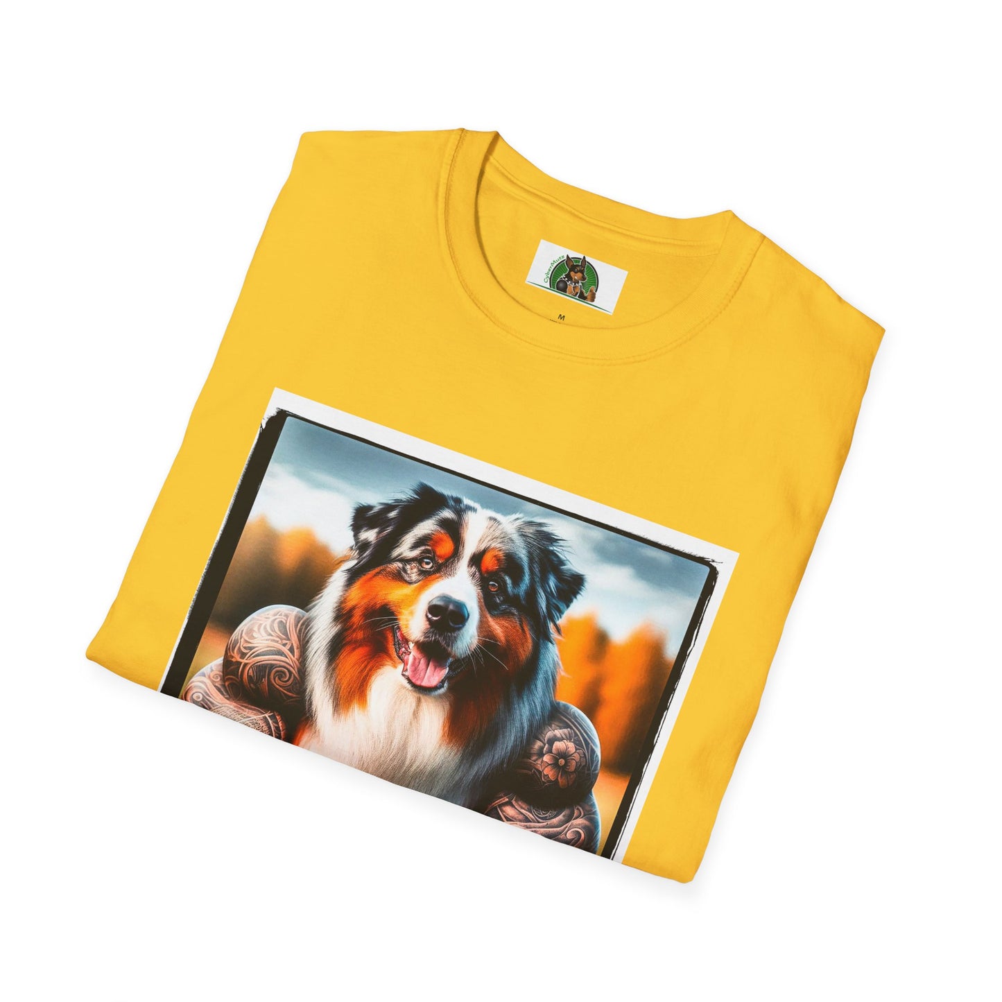 Australian Shepherd Muscle Dog