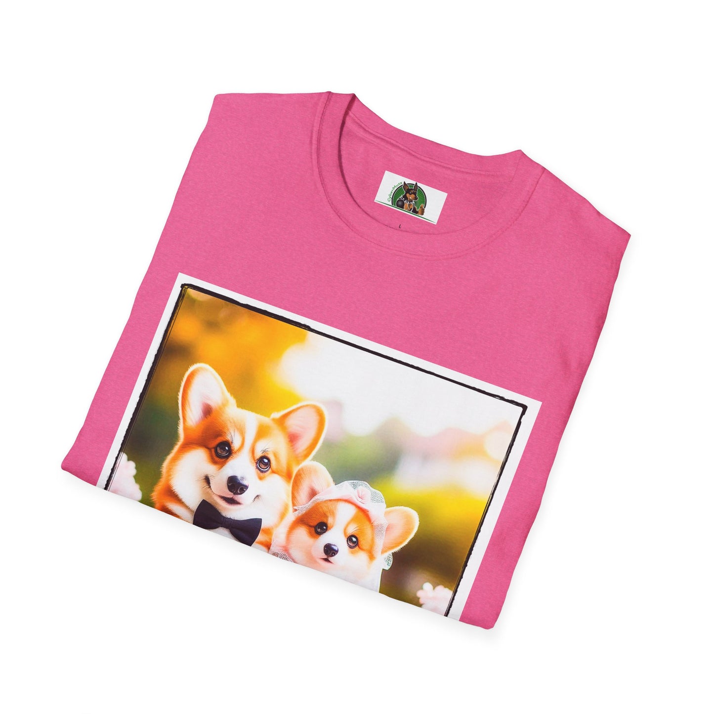 Wacky Pembroke Welsh Corgi tiny couple