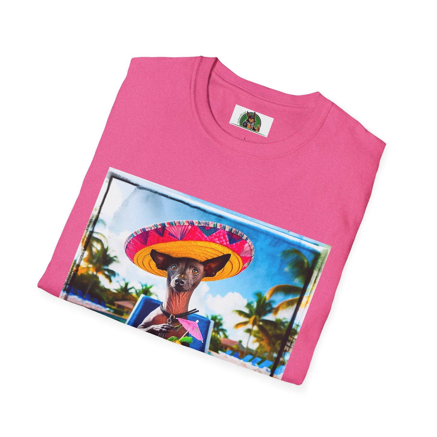 Mexican Hairless Dog vacation