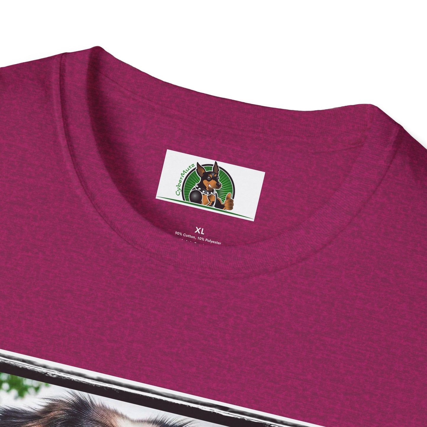 Australian Shepherd Tattooed And Buff