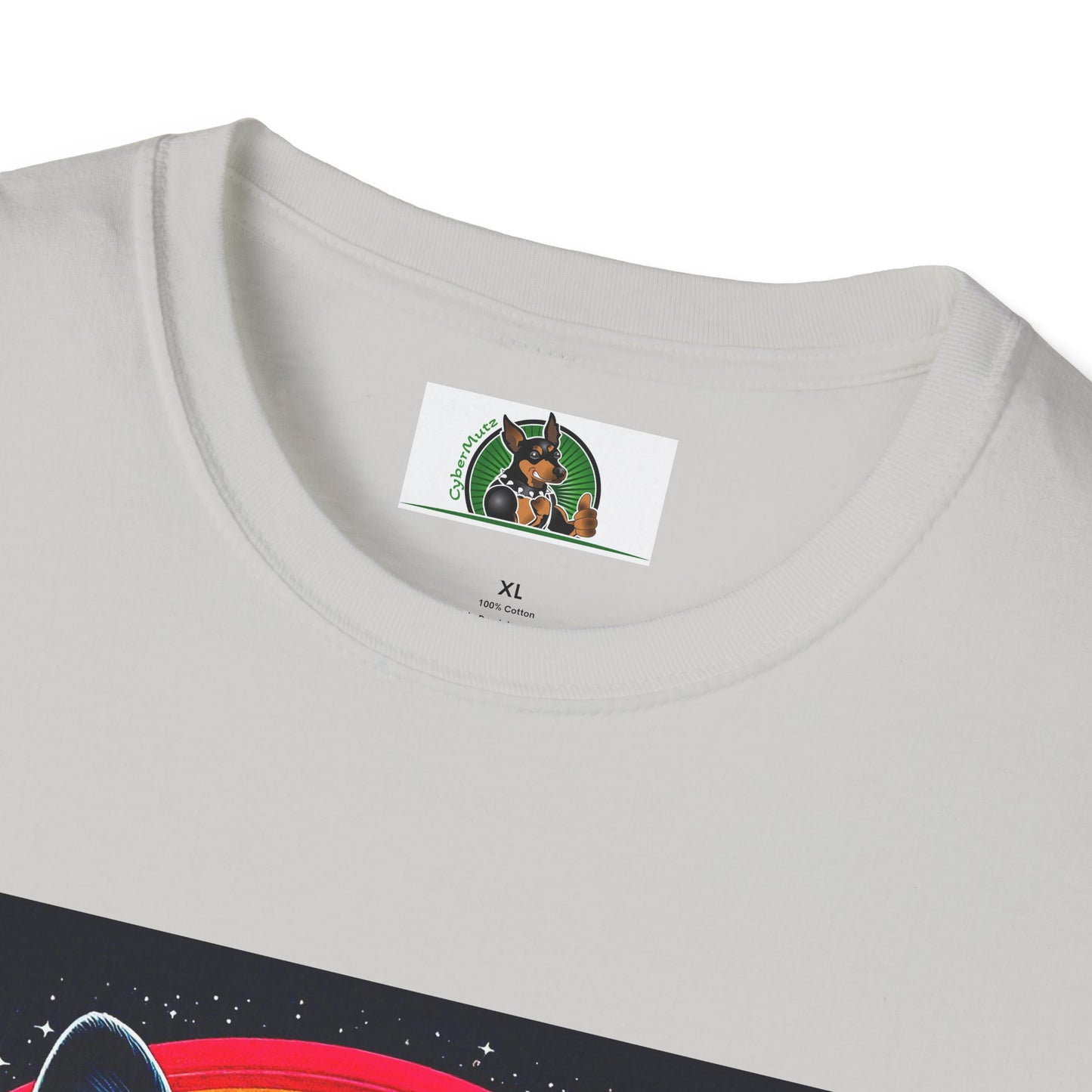 Boston Terrier Dog Overlooking Rainbow Bridge T-Shirt Printify