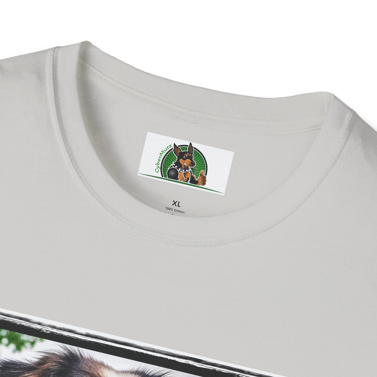 Australian Shepherd Tattooed And Buff