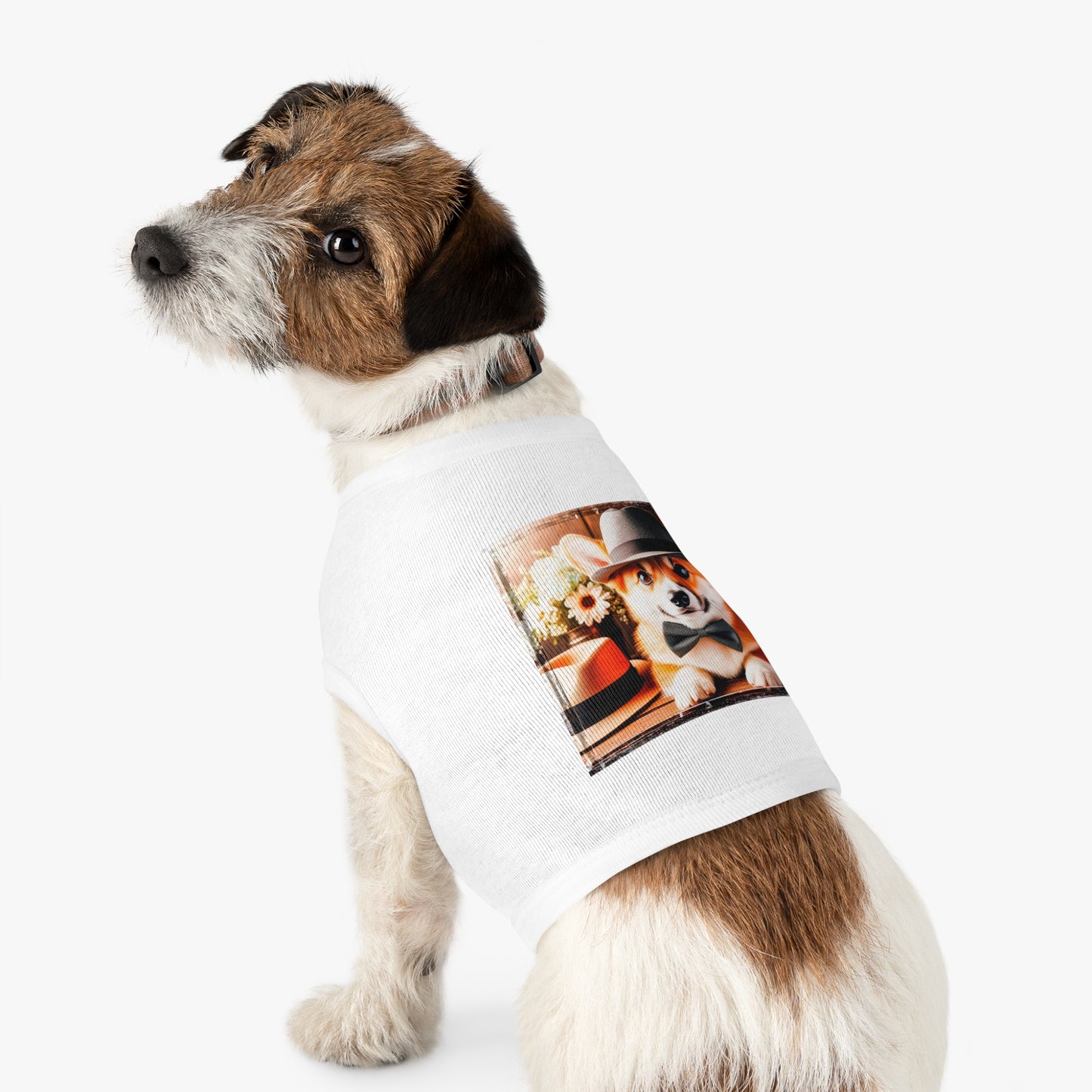 Pembroke Welsh Corgi fun hat shirt Pets Printify