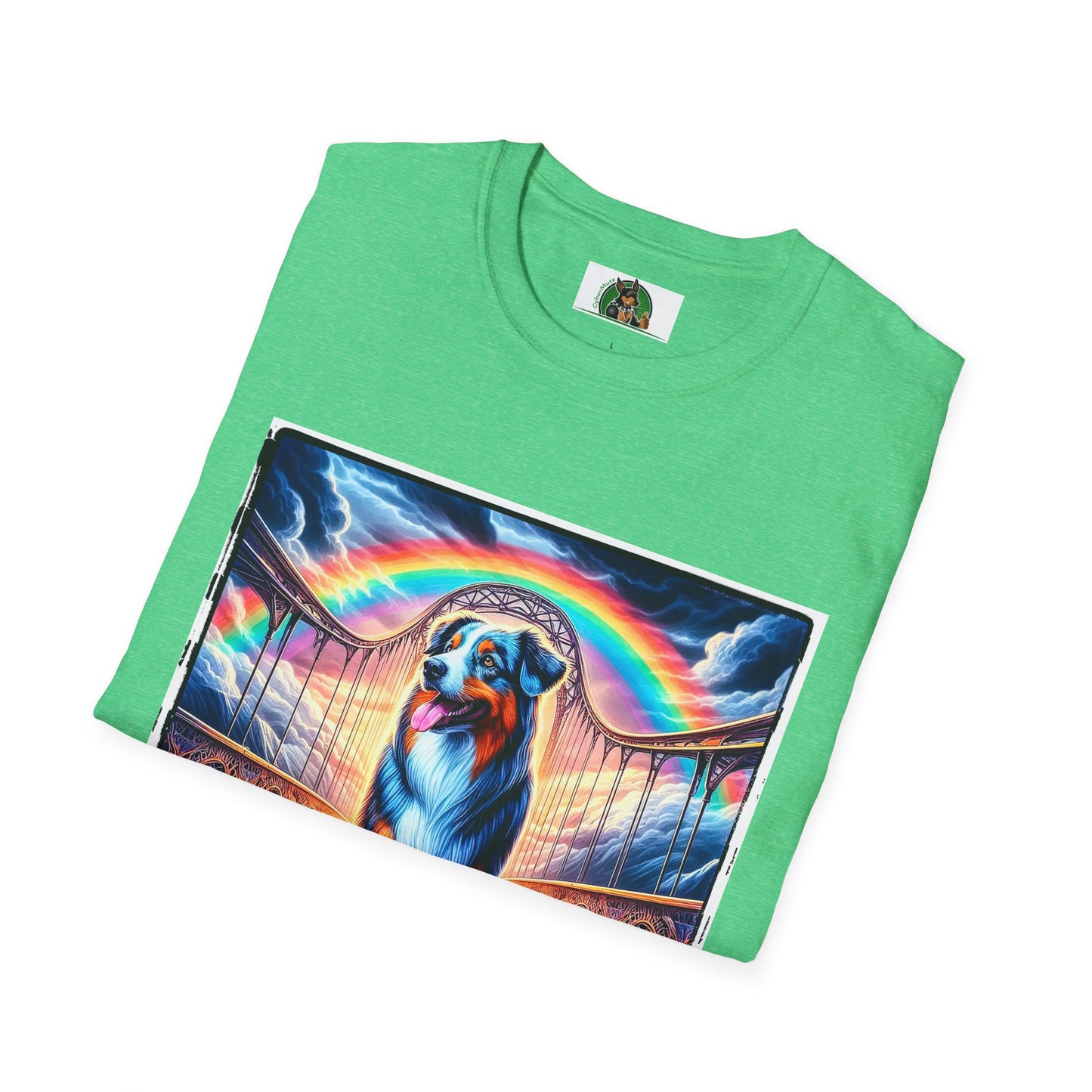 Australian Shepherd Walking Rainbow Bridge