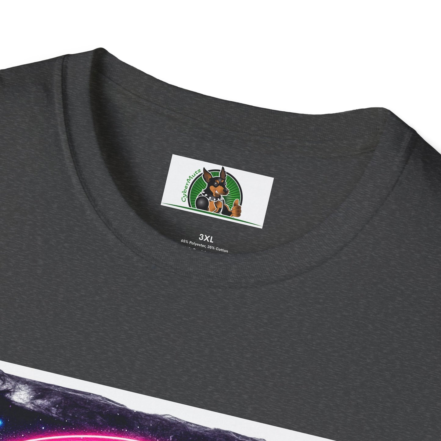 Boston Terrier Rainbow Bridge Shirt T-Shirt Printify