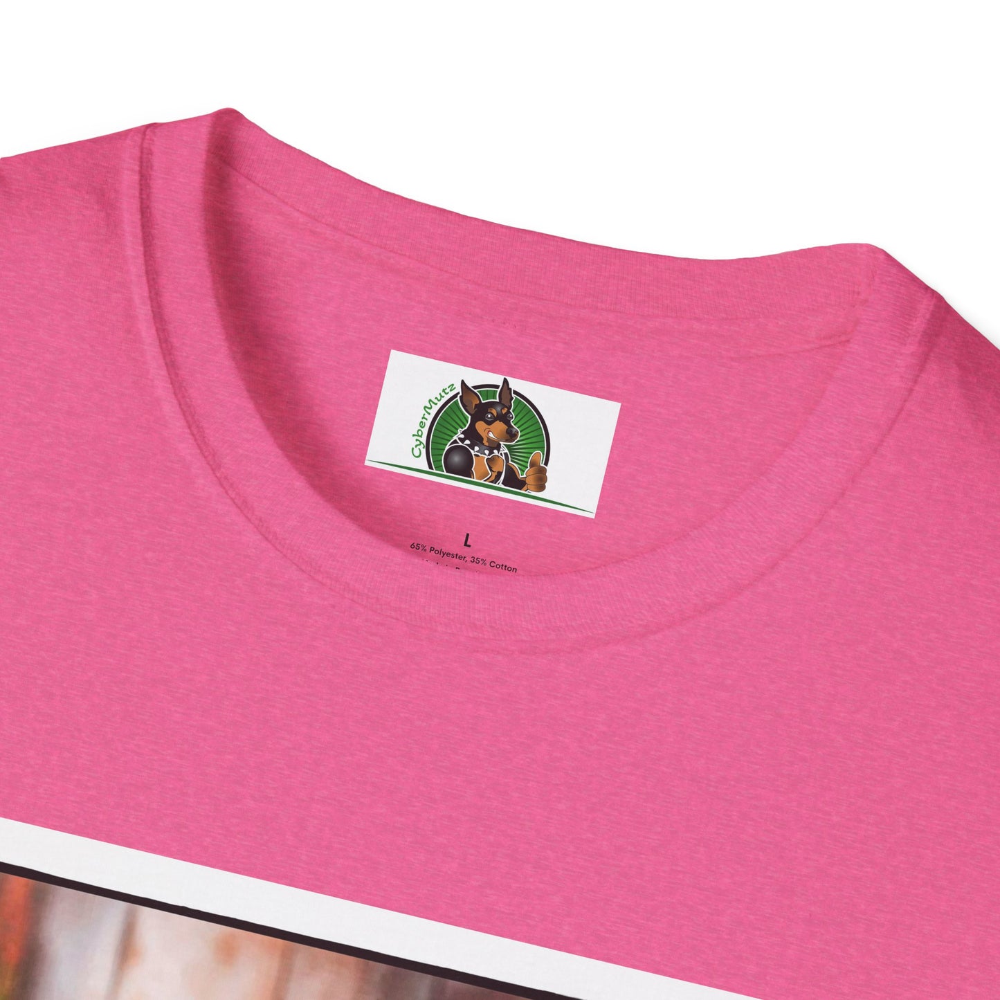 Australian Shepherd With Fedora Hat