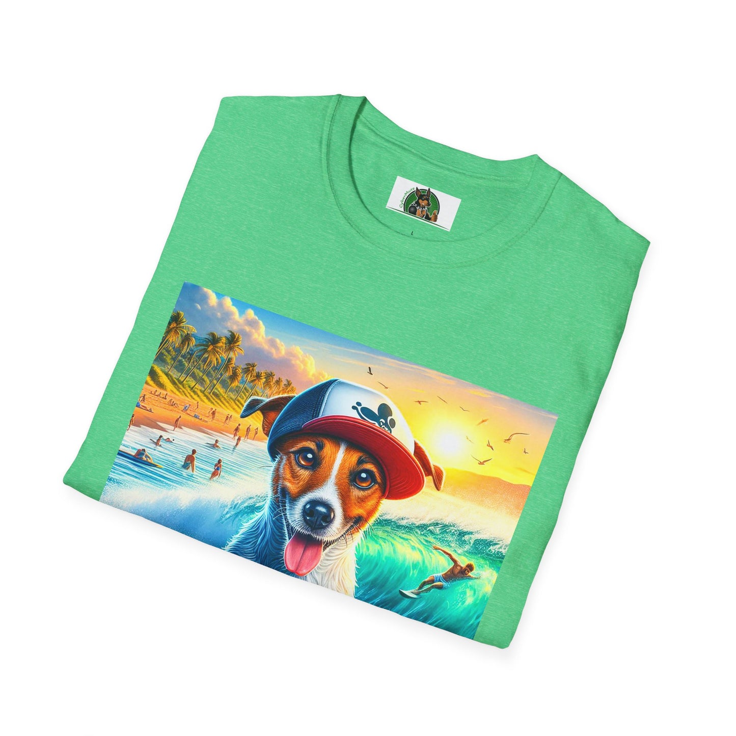 Jack Russell Boogie Boarding