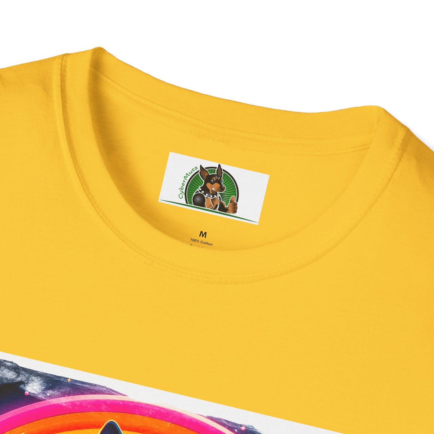 Boston Terrier Rainbow Bridge Dog At Beach T-Shirt Printify