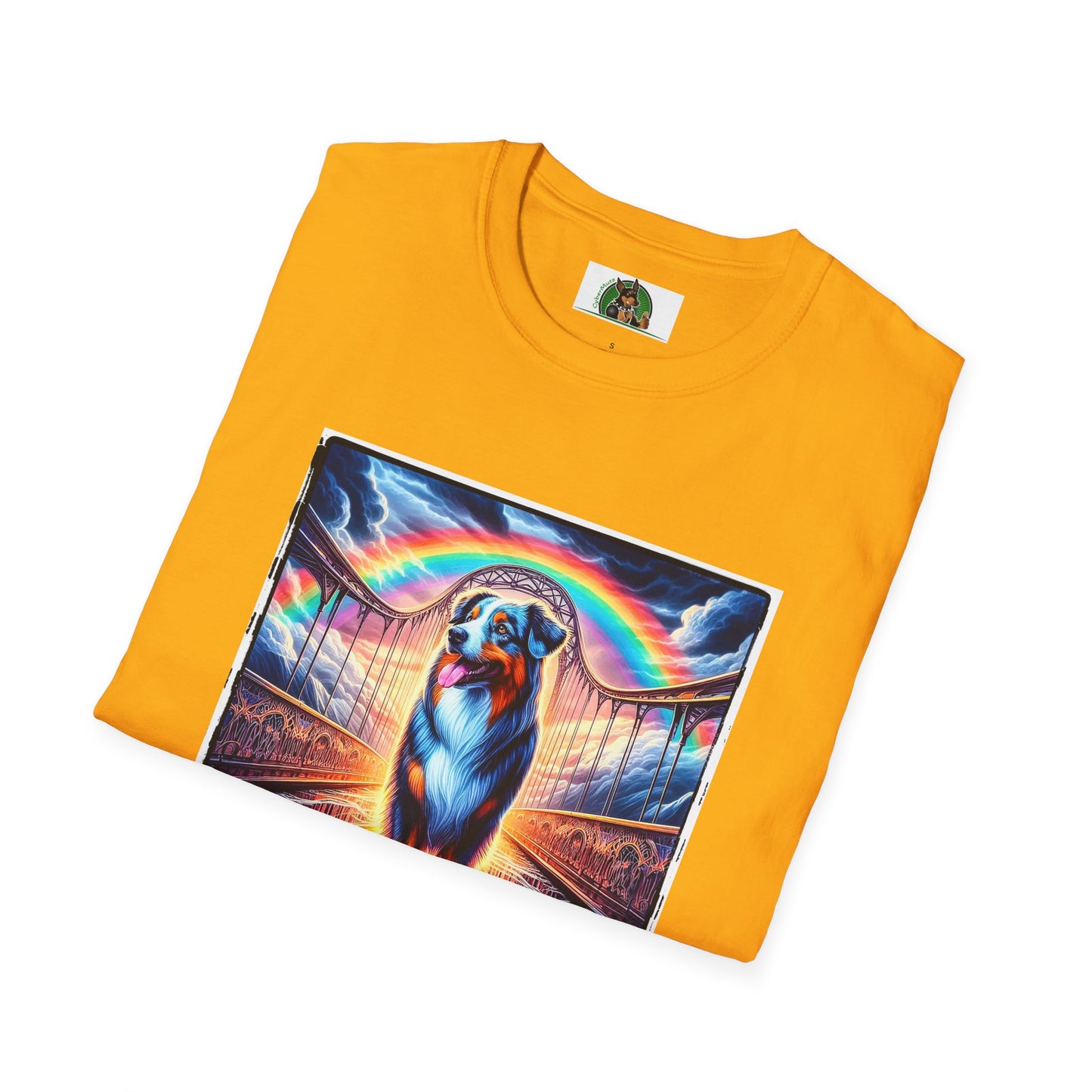 Australian Shepherd Walking Rainbow Bridge