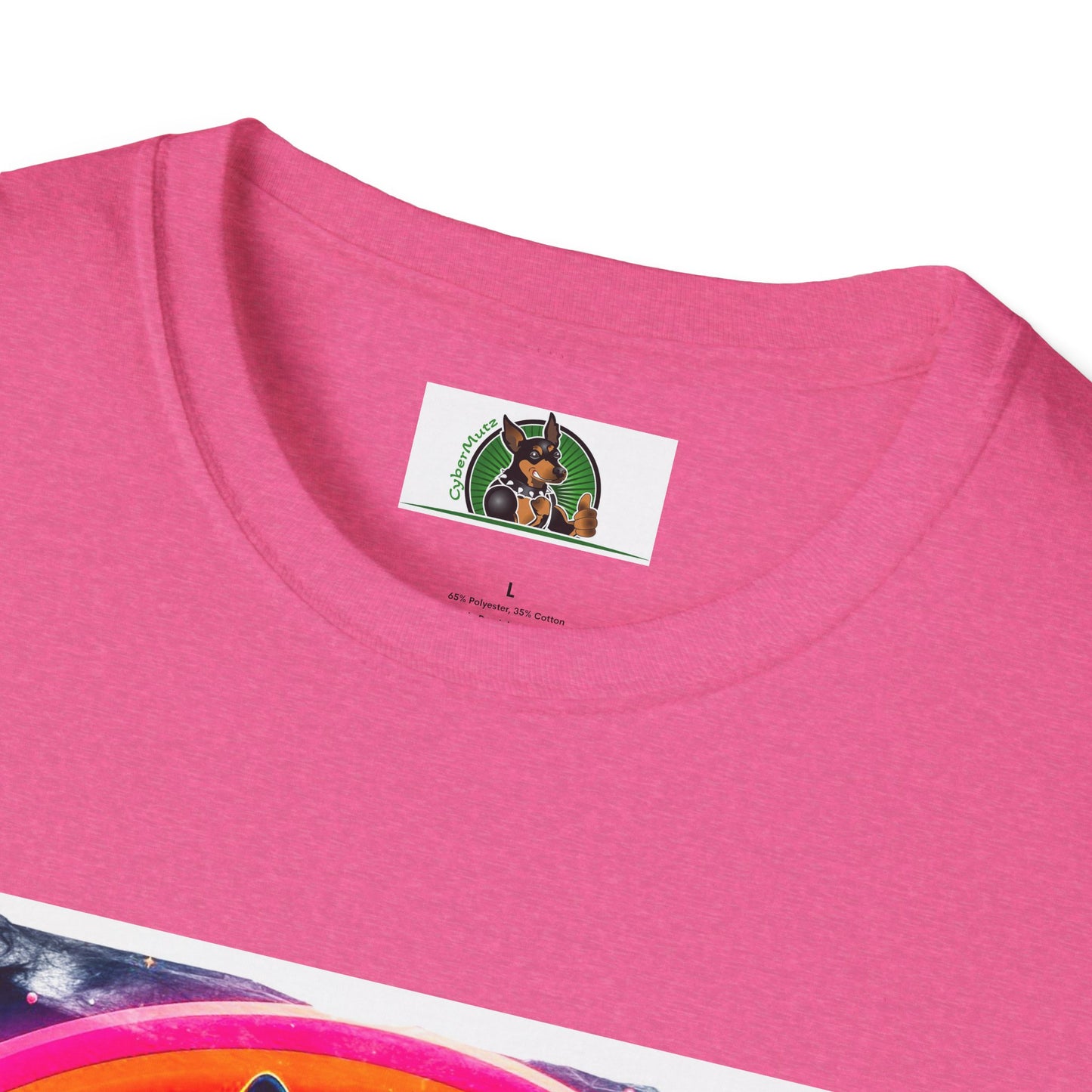 Boston Terrier Rainbow Bridge Dog At Beach T-Shirt Printify