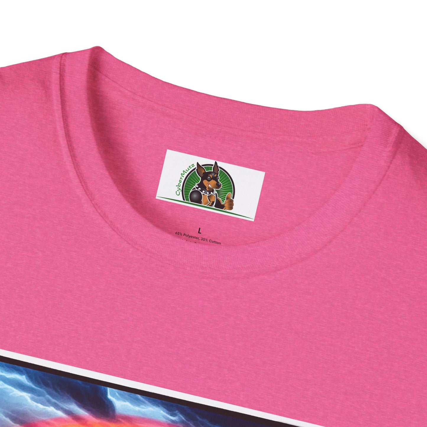 Australian Shepherd Walking Rainbow Bridge