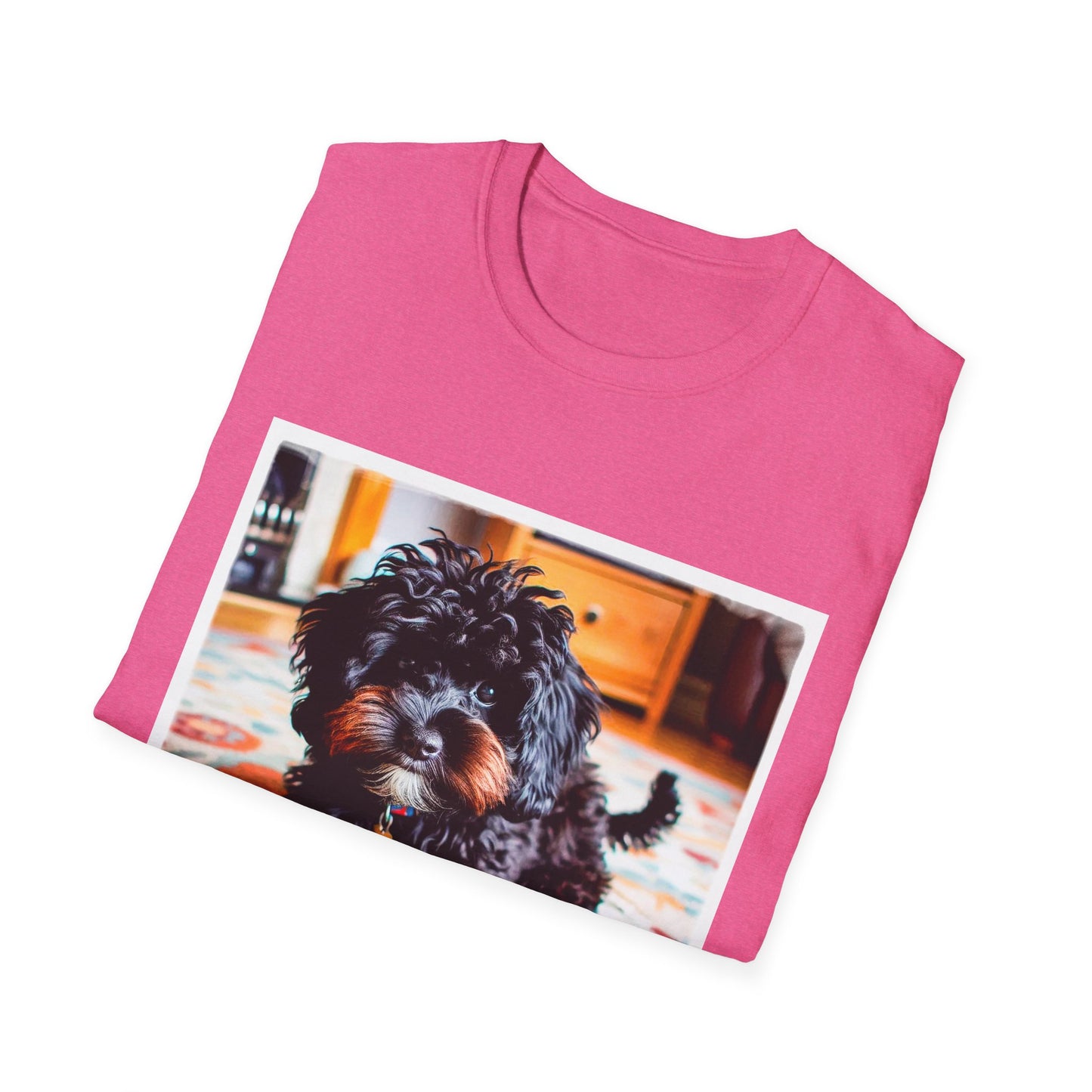 CockerPoo playing t shirt