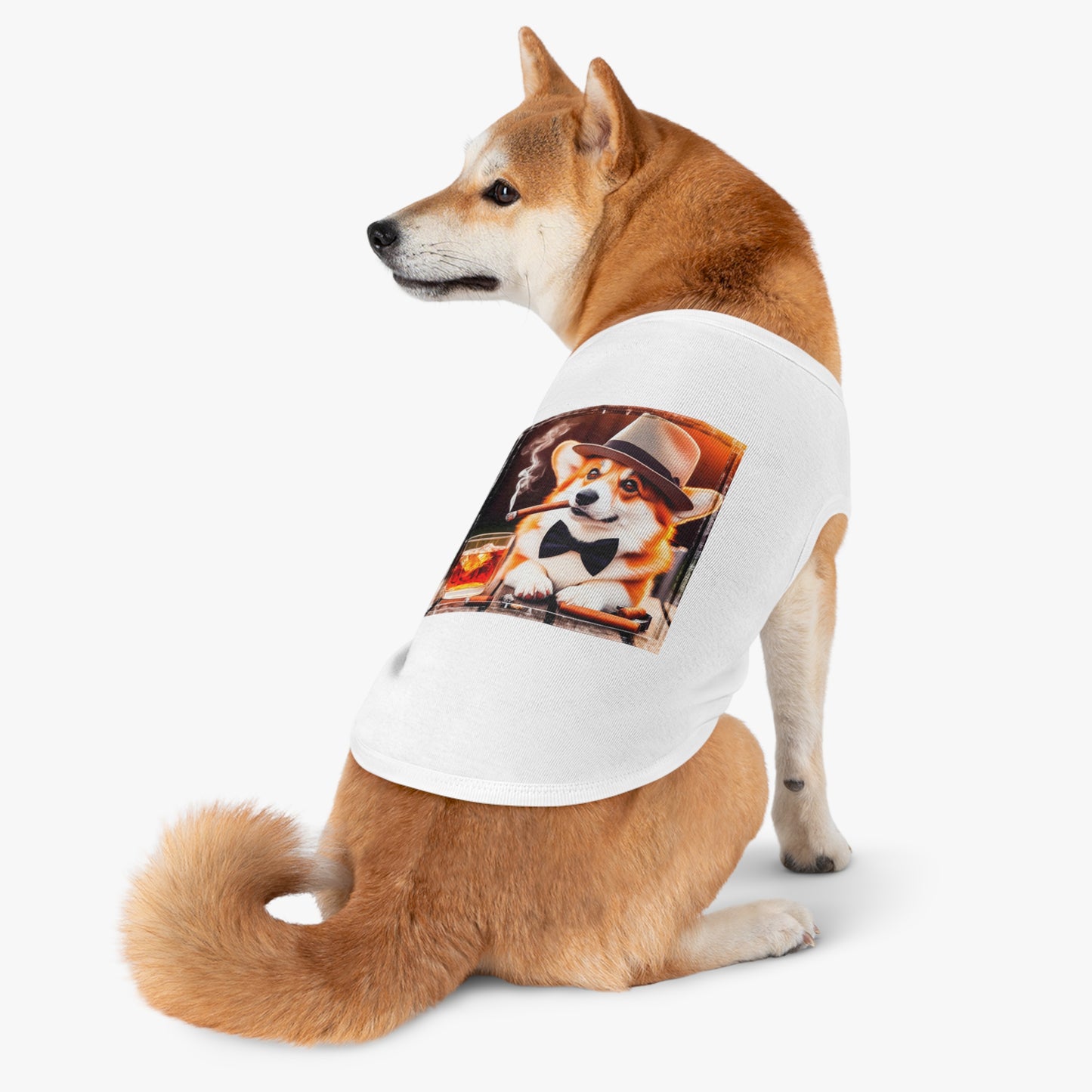 Pembroke Welsh Corgi cigars and whiskey