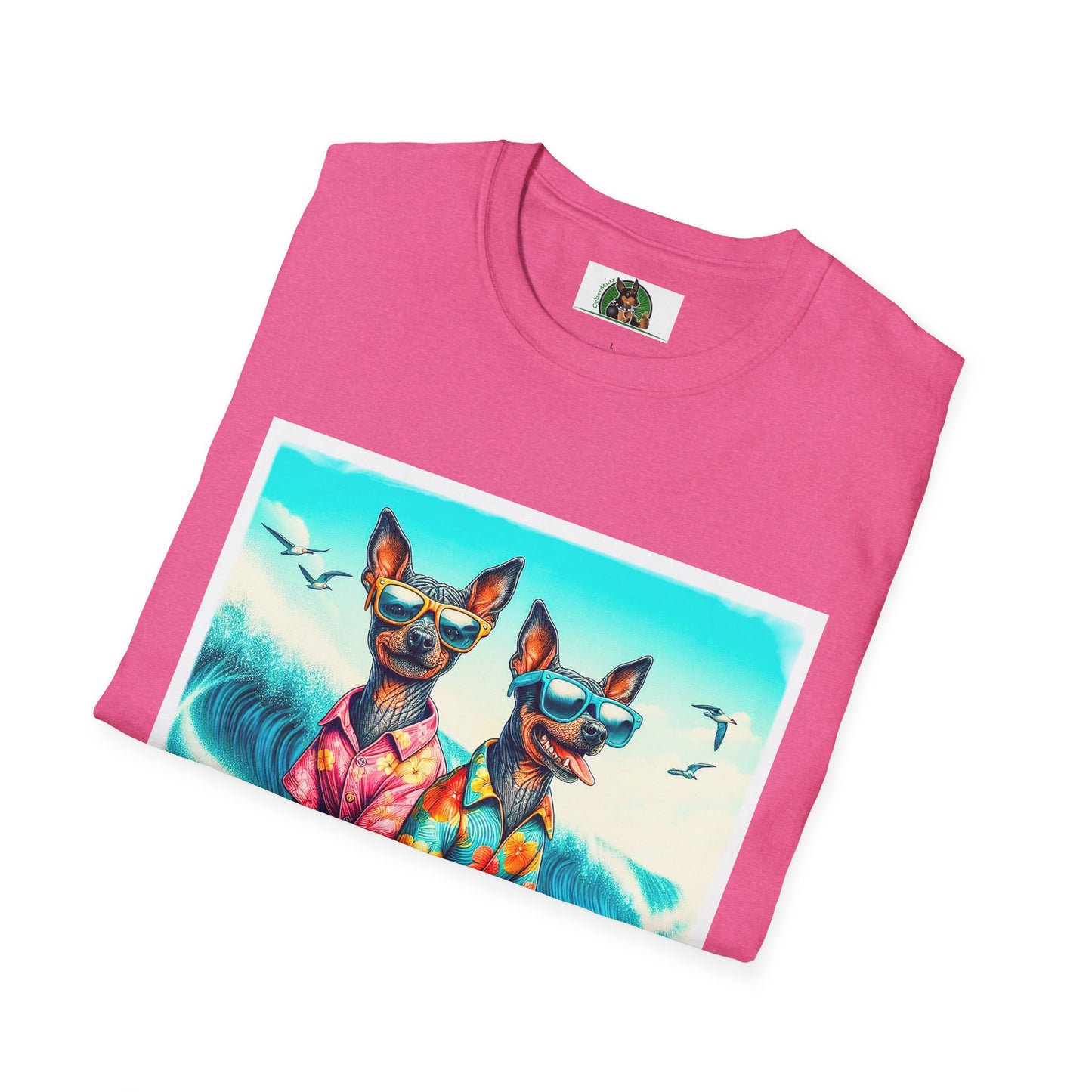 Mexican Hairless Dog surfing Frirnds