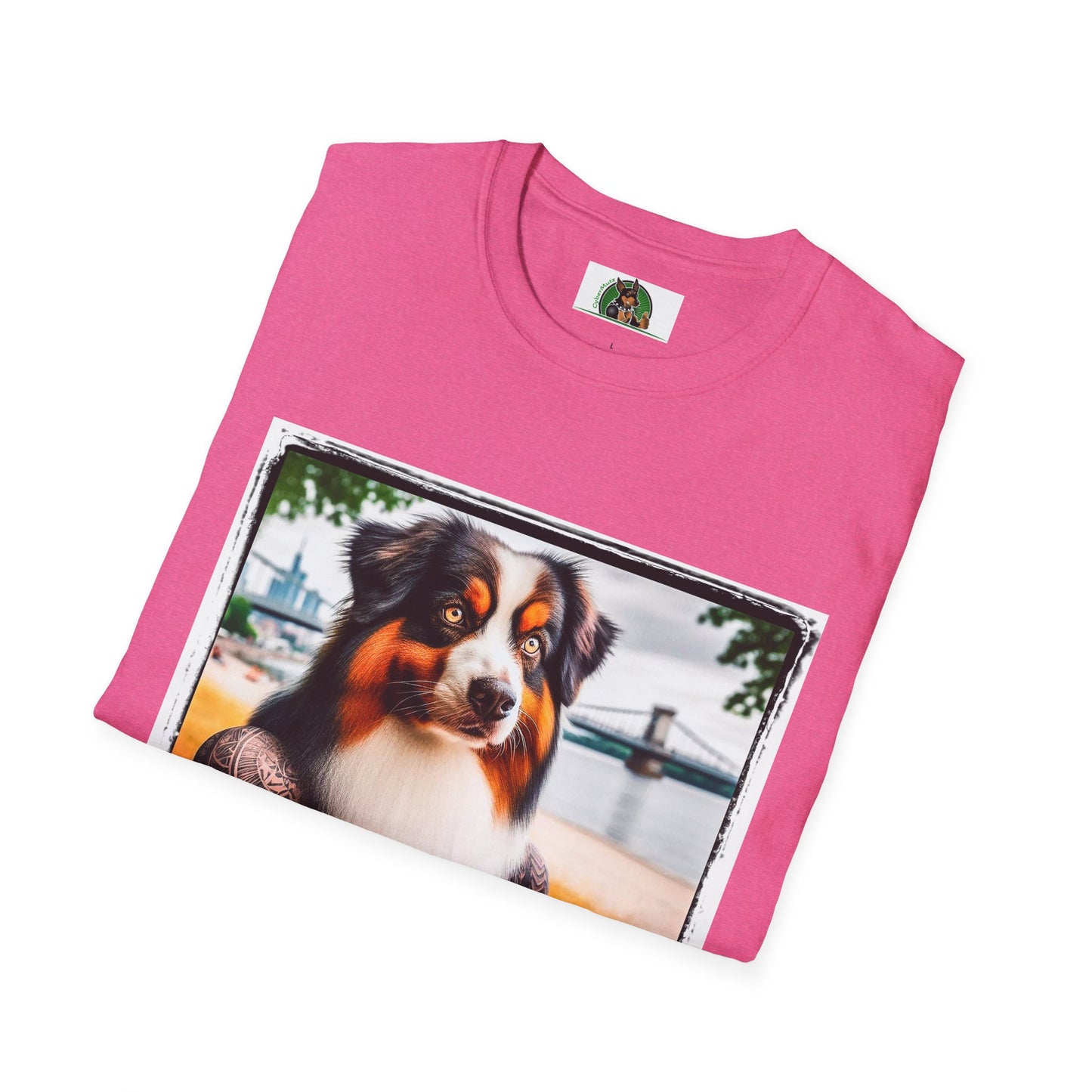 Australian Shepherd Tattooed And Buff