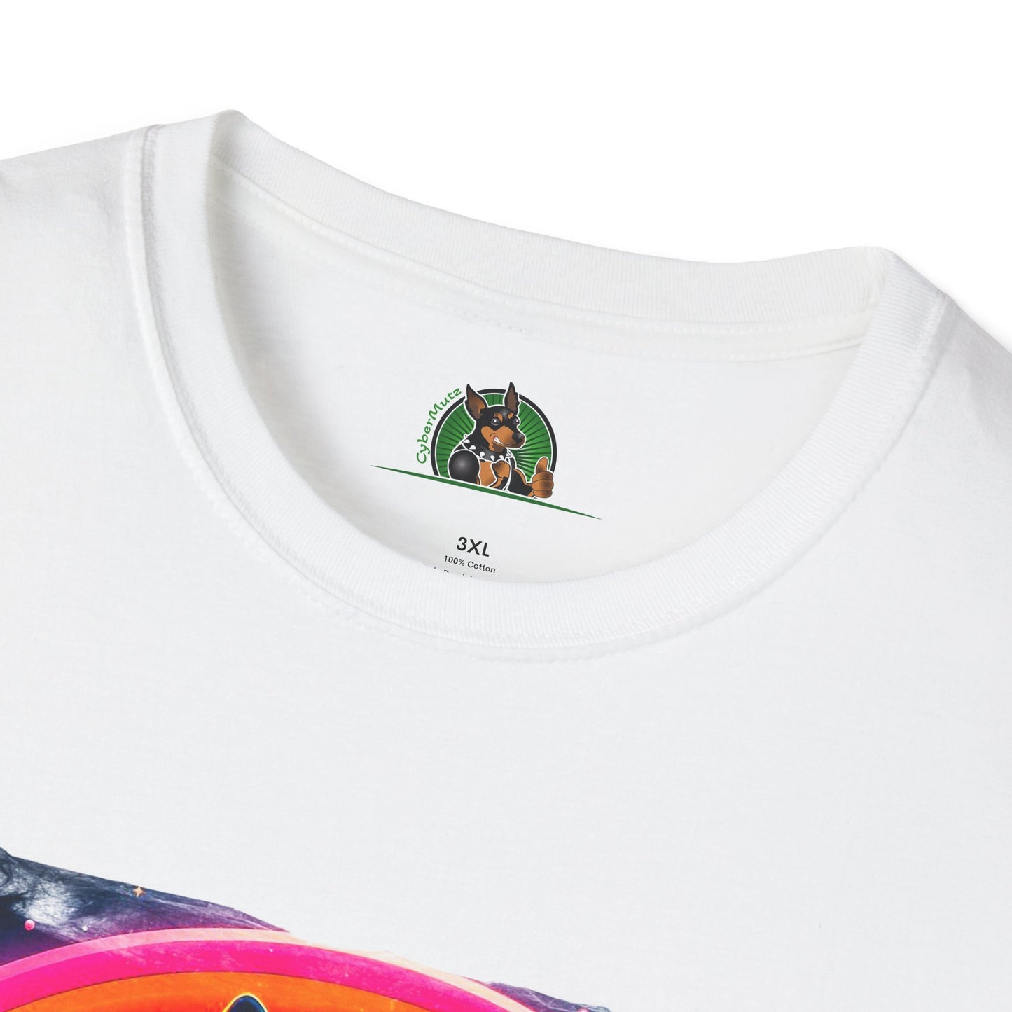 Boston Terrier Rainbow Bridge Dog At Beach T-Shirt Printify