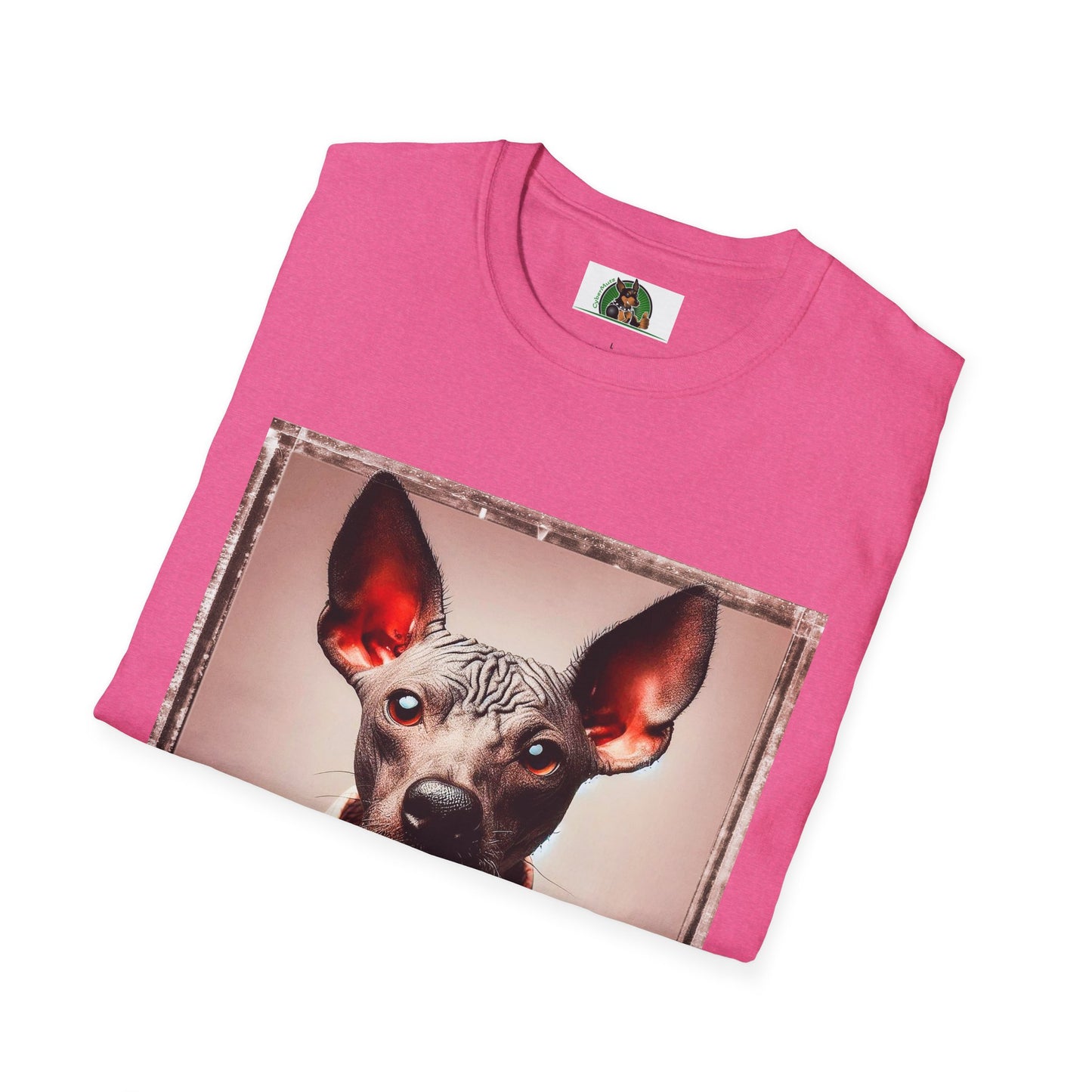 Mexican Hairless Dog bow tie