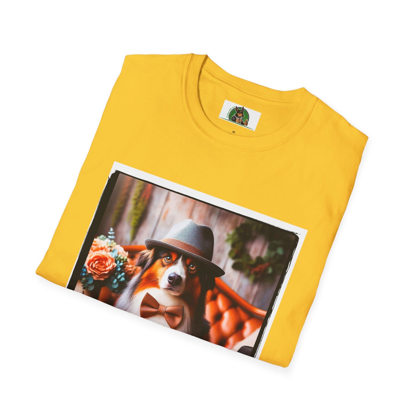 Australian Shepherd With Fedora Hat