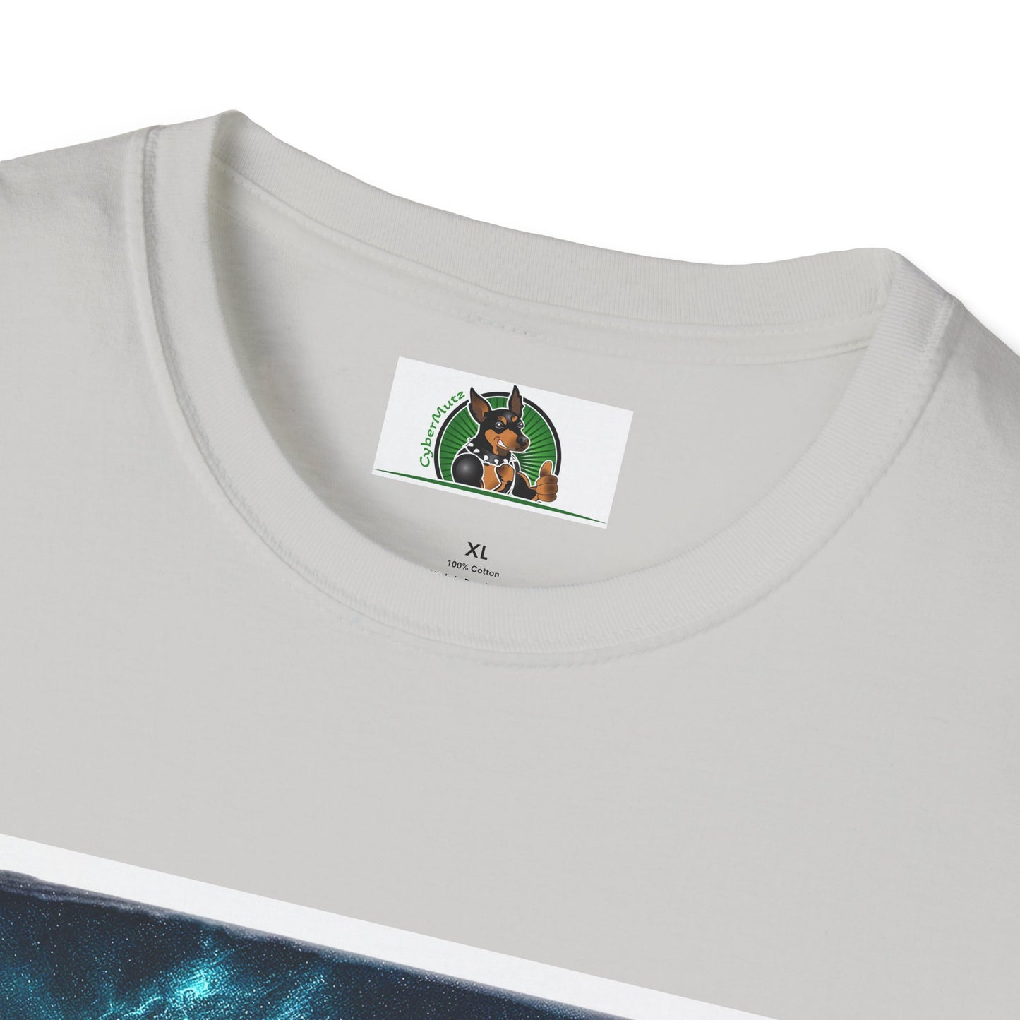 Australian Shepherd Rainbow Bridge At Night