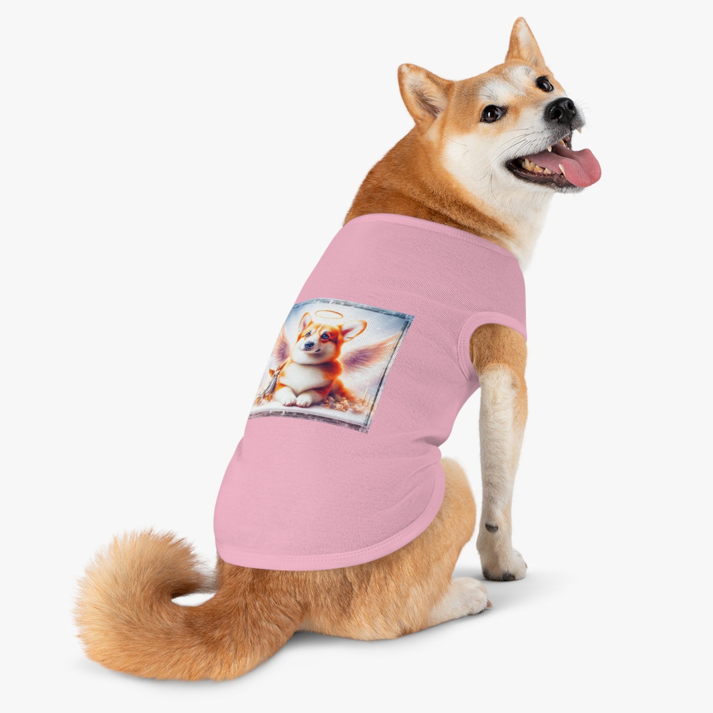 Pembroke Welsh corgi pretty Angel